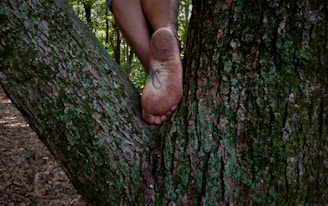 A person standing on the trunk of a tree