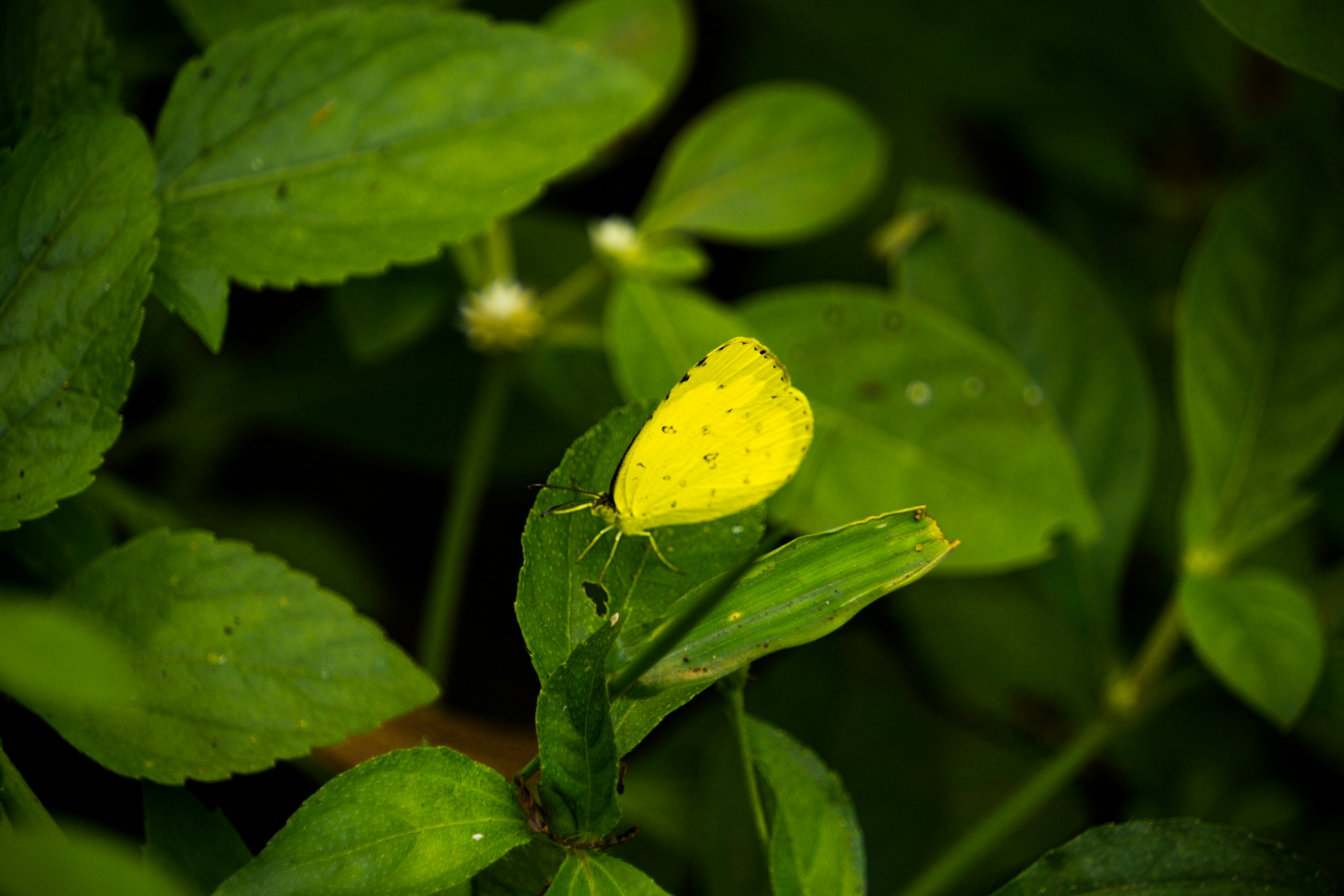 Photo by ruhans
