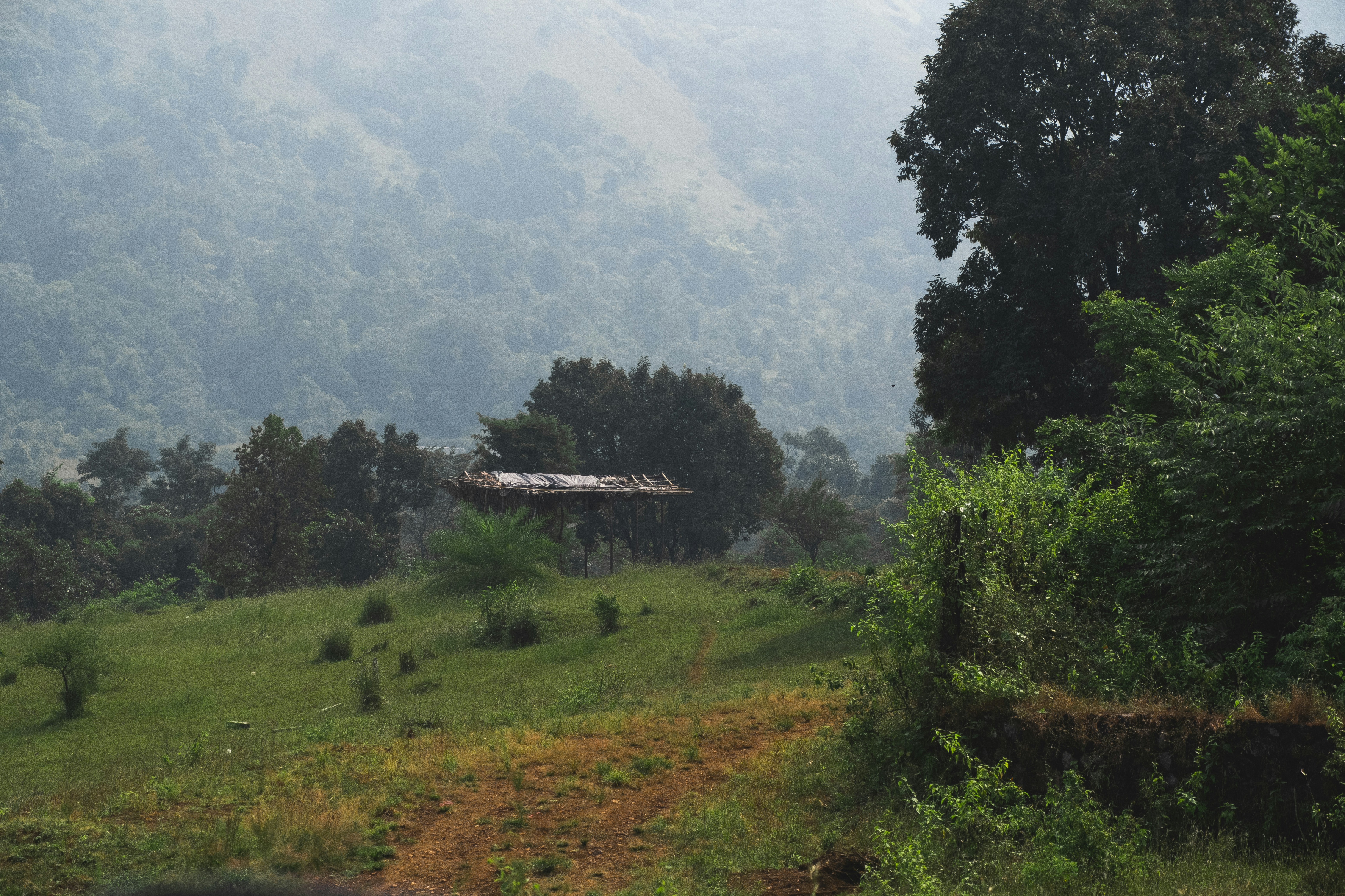 A grassy field with a house in the distance