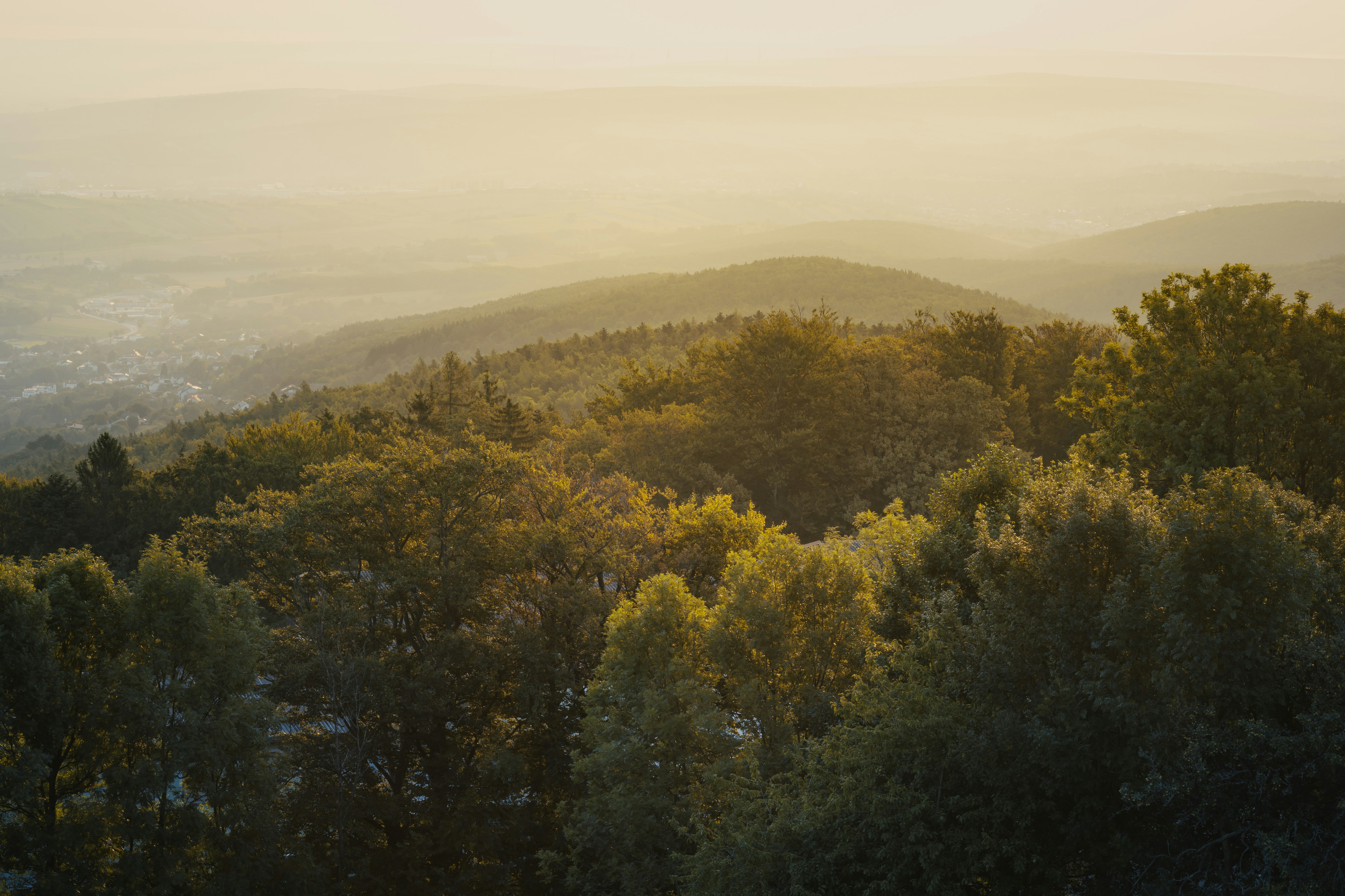 Photo by pino_rumbero