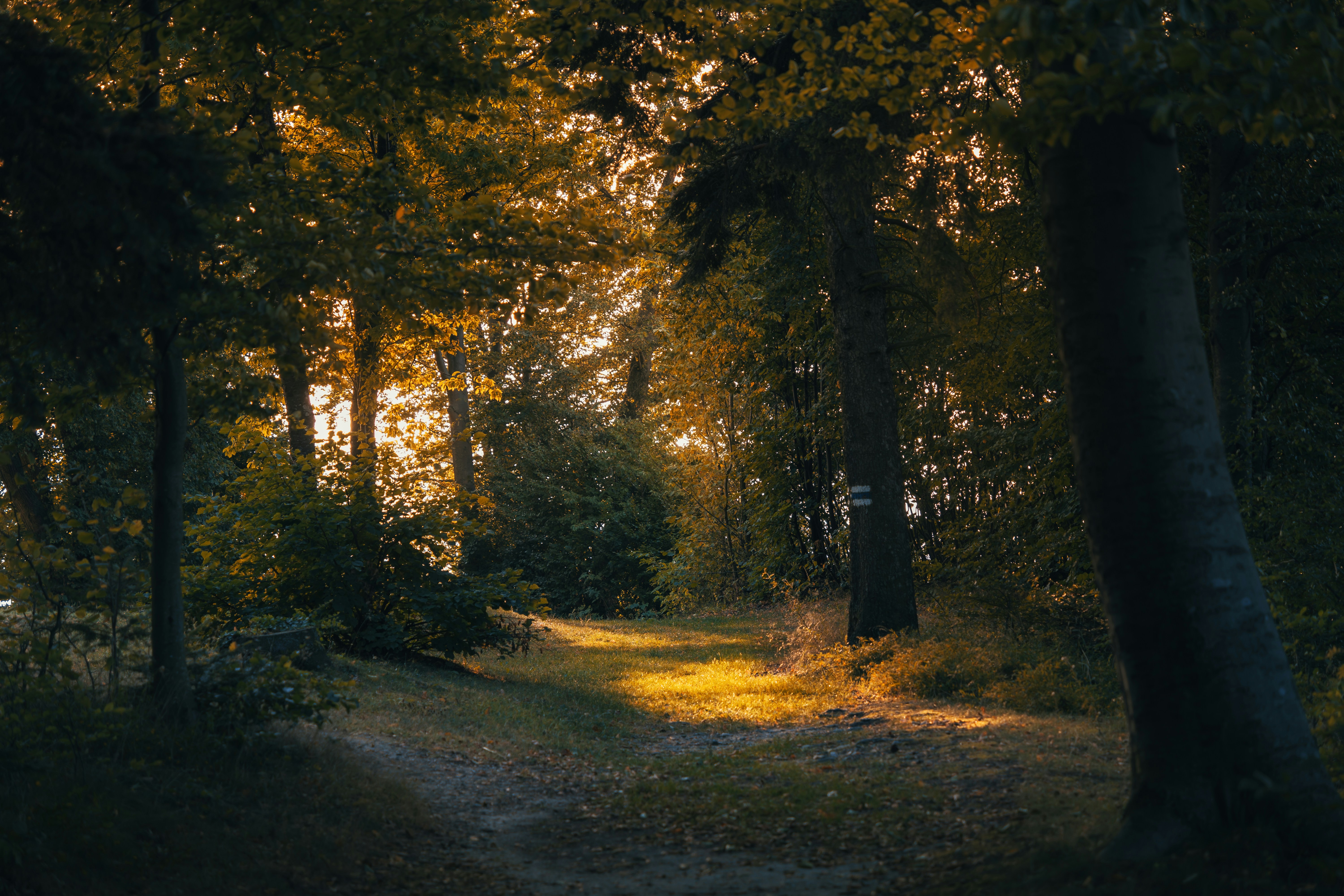 Photo by pino_rumbero