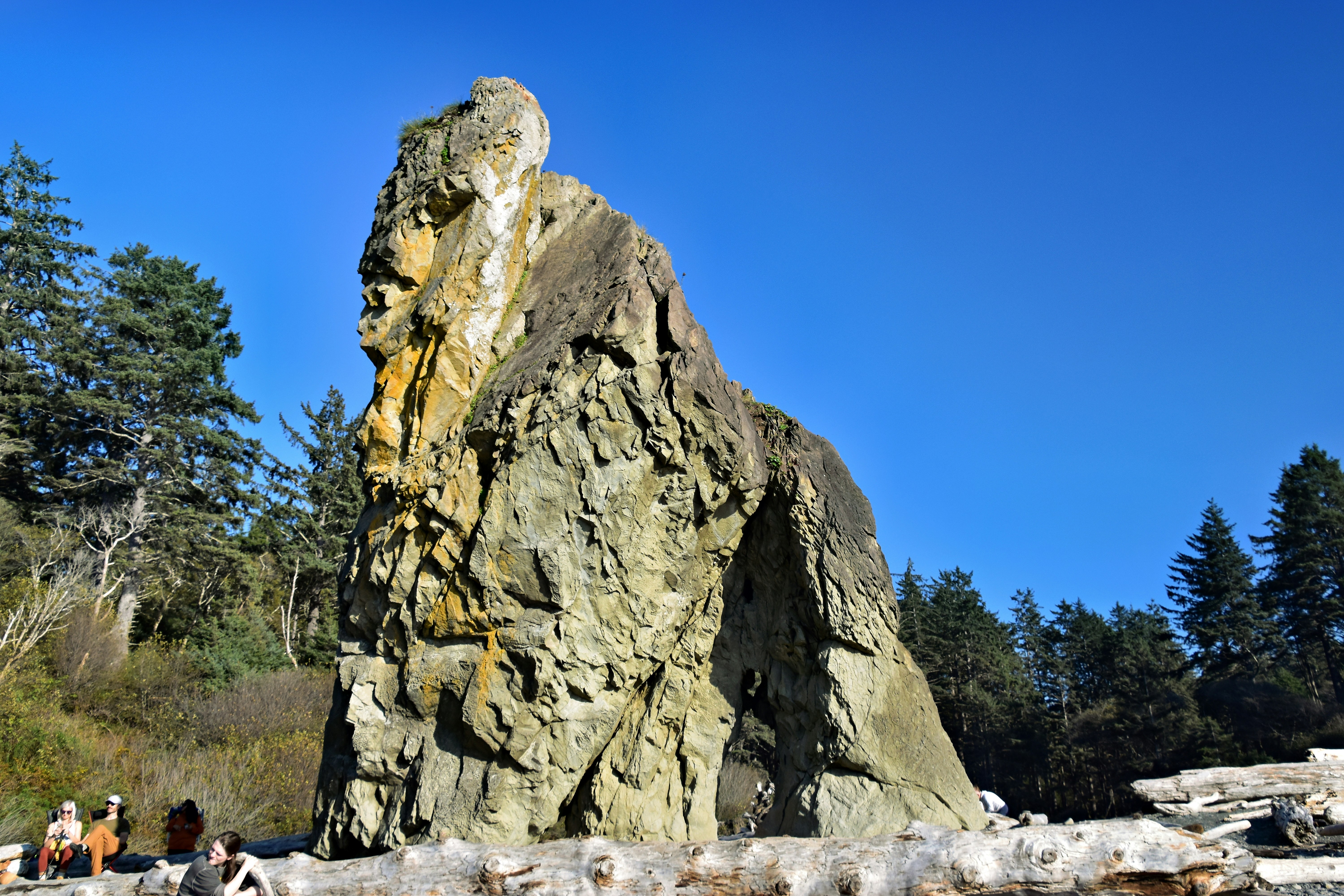 Stop image for Luxury Sedona Red Rock Loop: 2-Day Family Adventure - A large rock in the middle of a forest -  in Southwest USA - Photo by Jeffrey Eisen on Unsplash