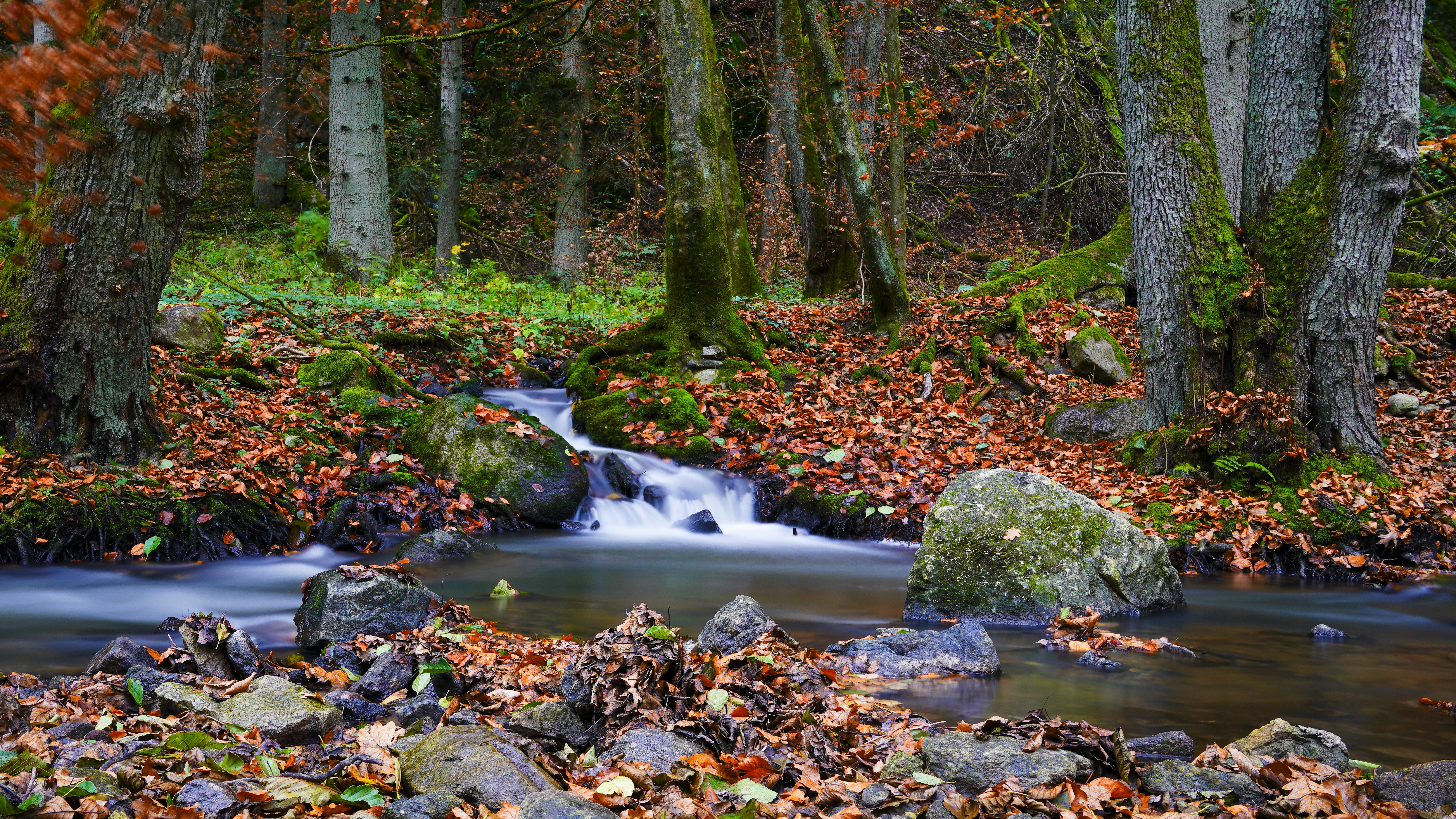 Photo by magictravel