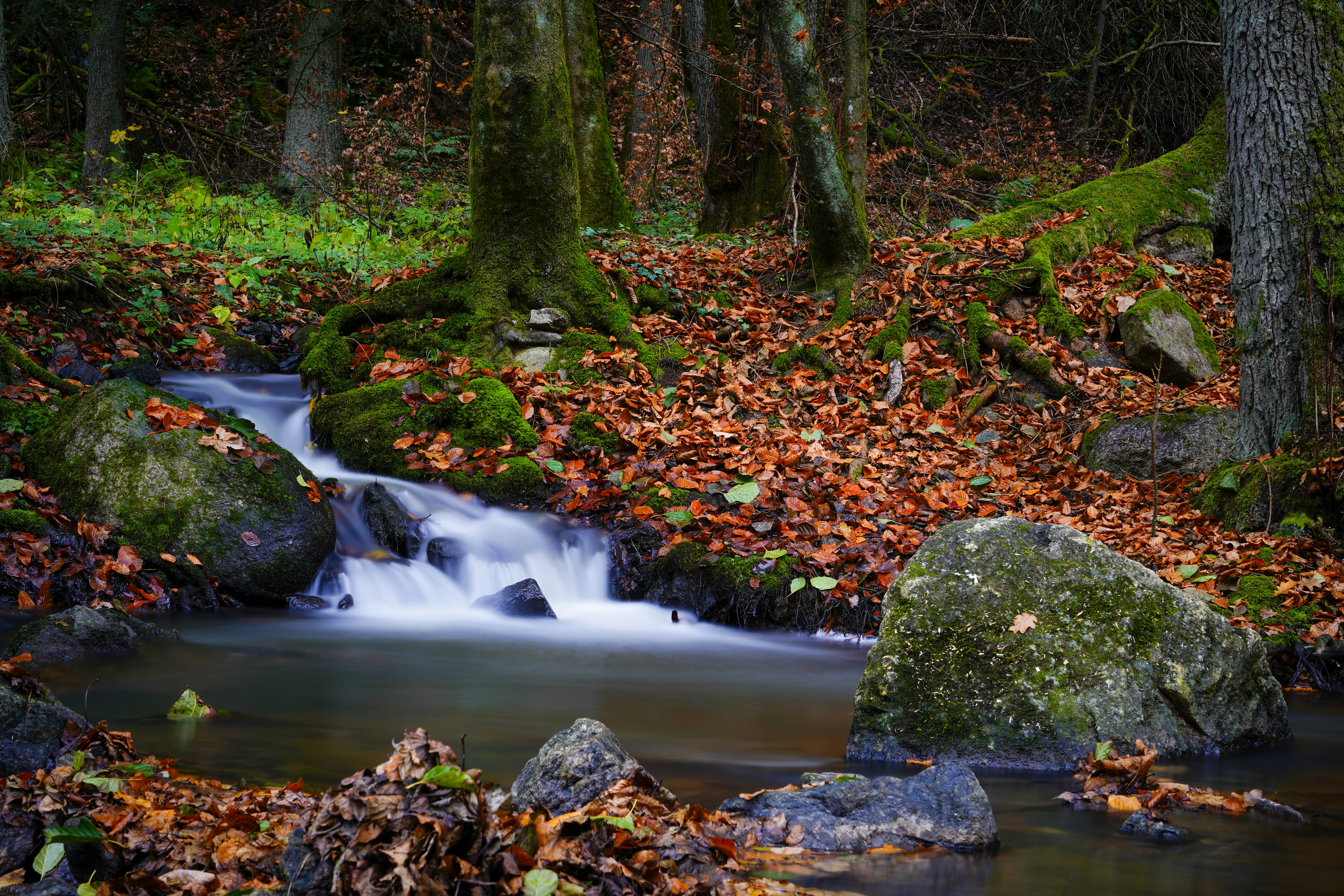 Photo by magictravel