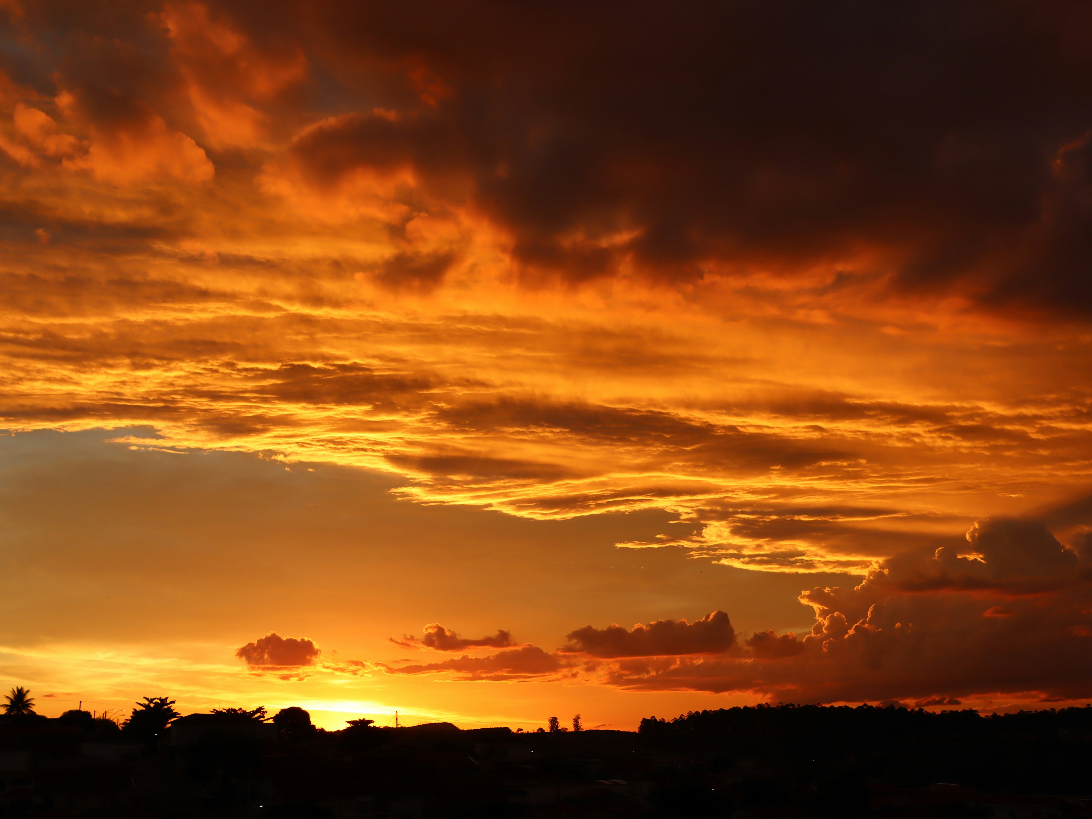 Photo by caio_delarolle