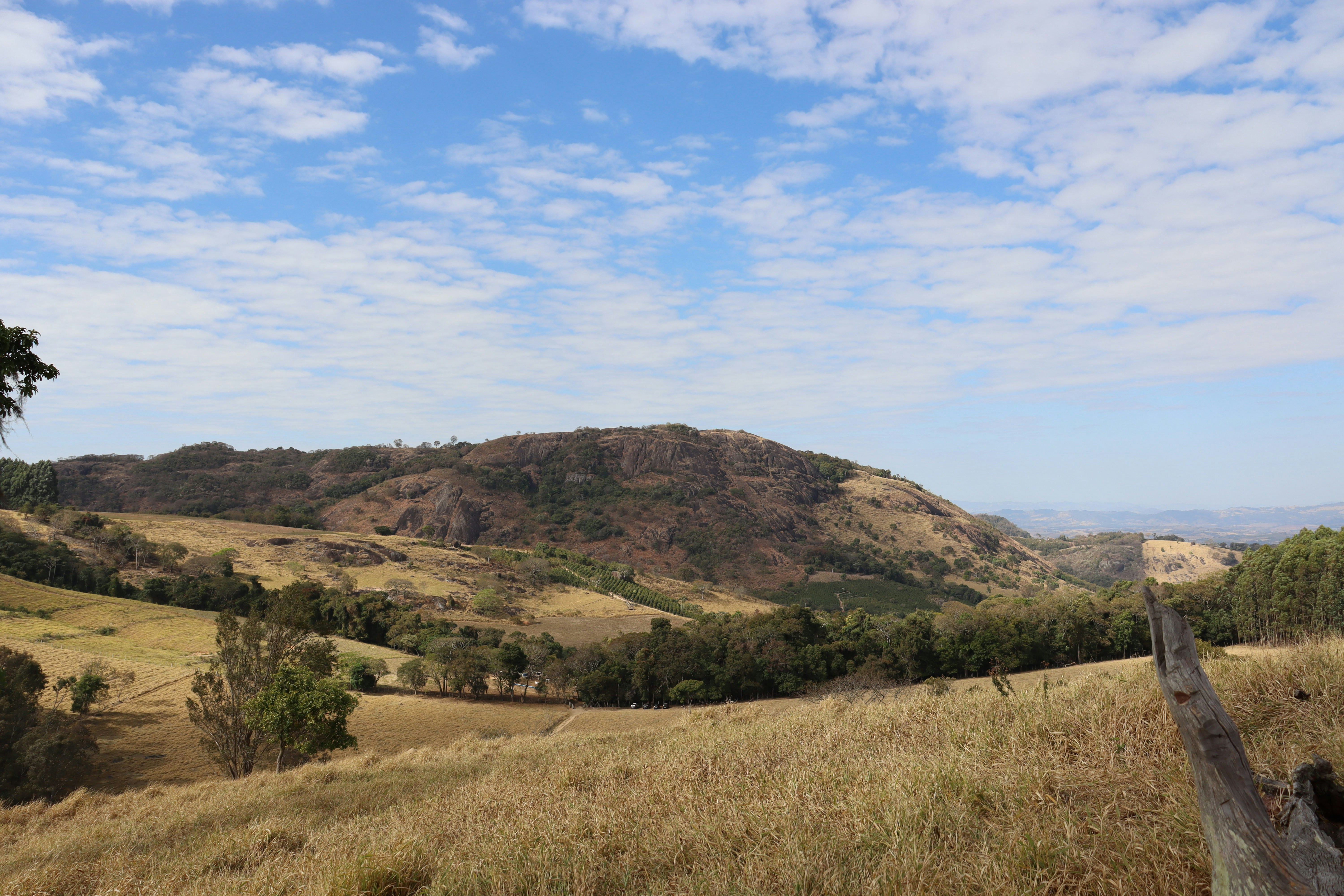 Photo by caio_delarolle