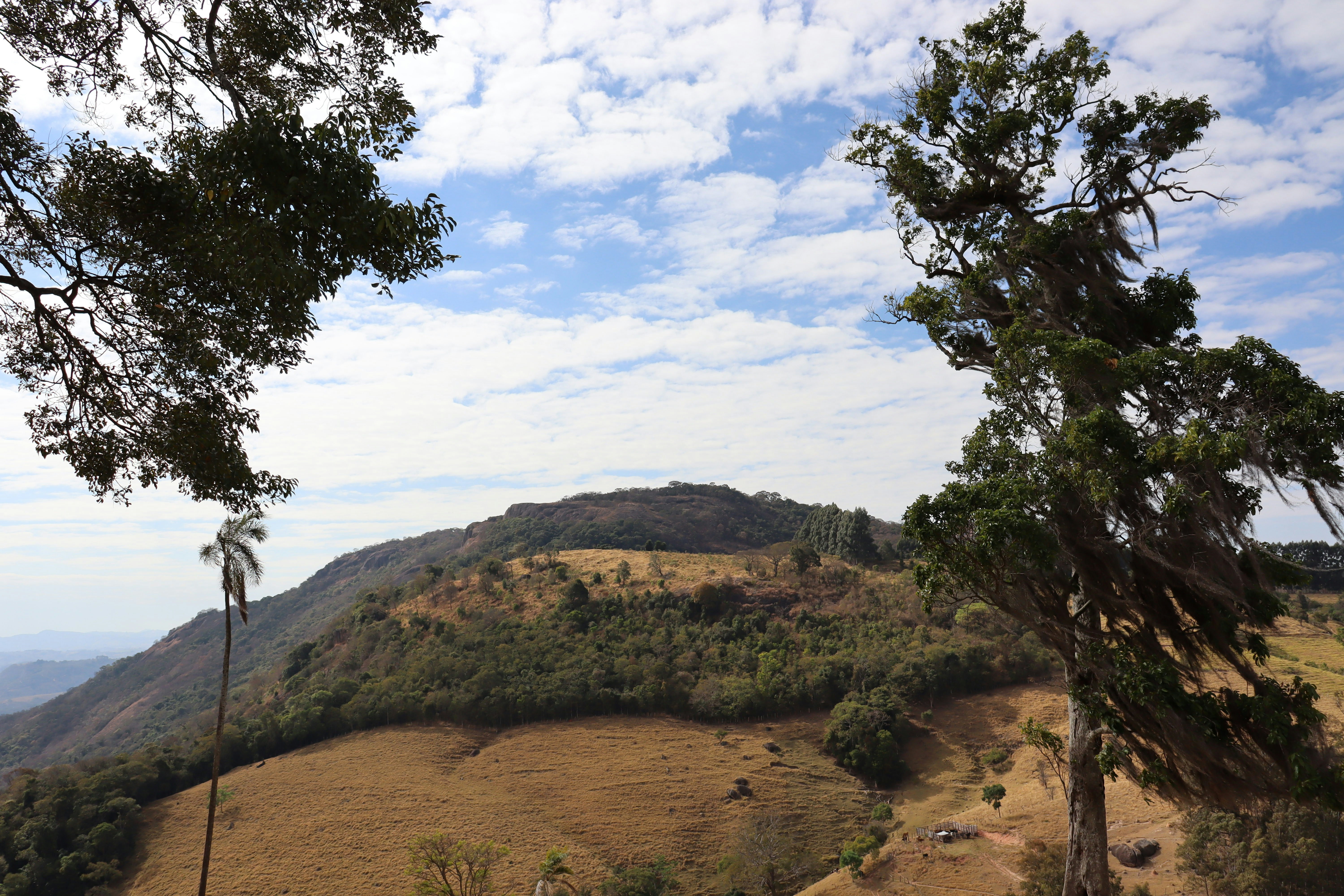 Photo by caio_delarolle