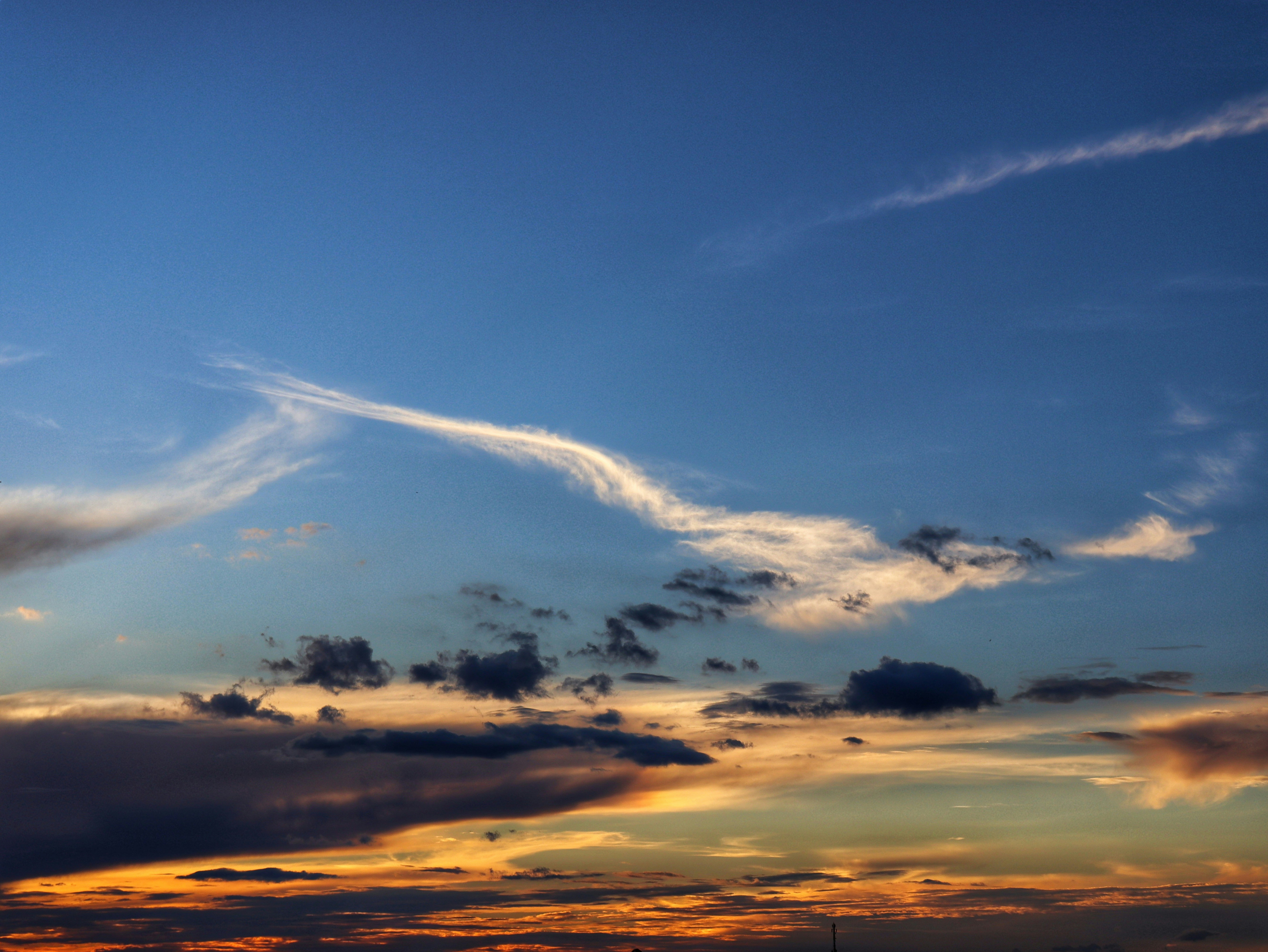 Photo by caio_delarolle