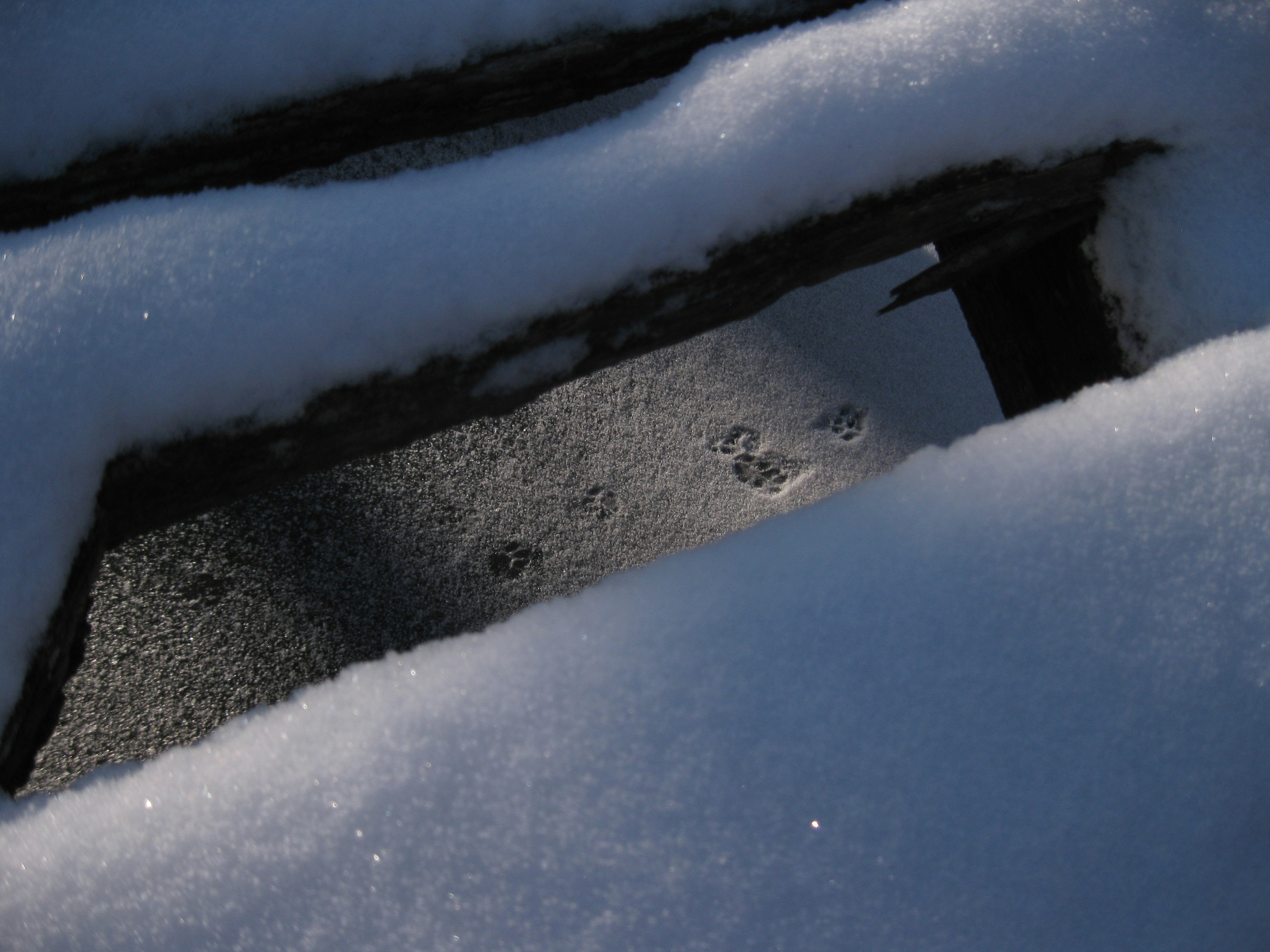 Un banc recouvert de neige avec des empreintes de pas dans la neige