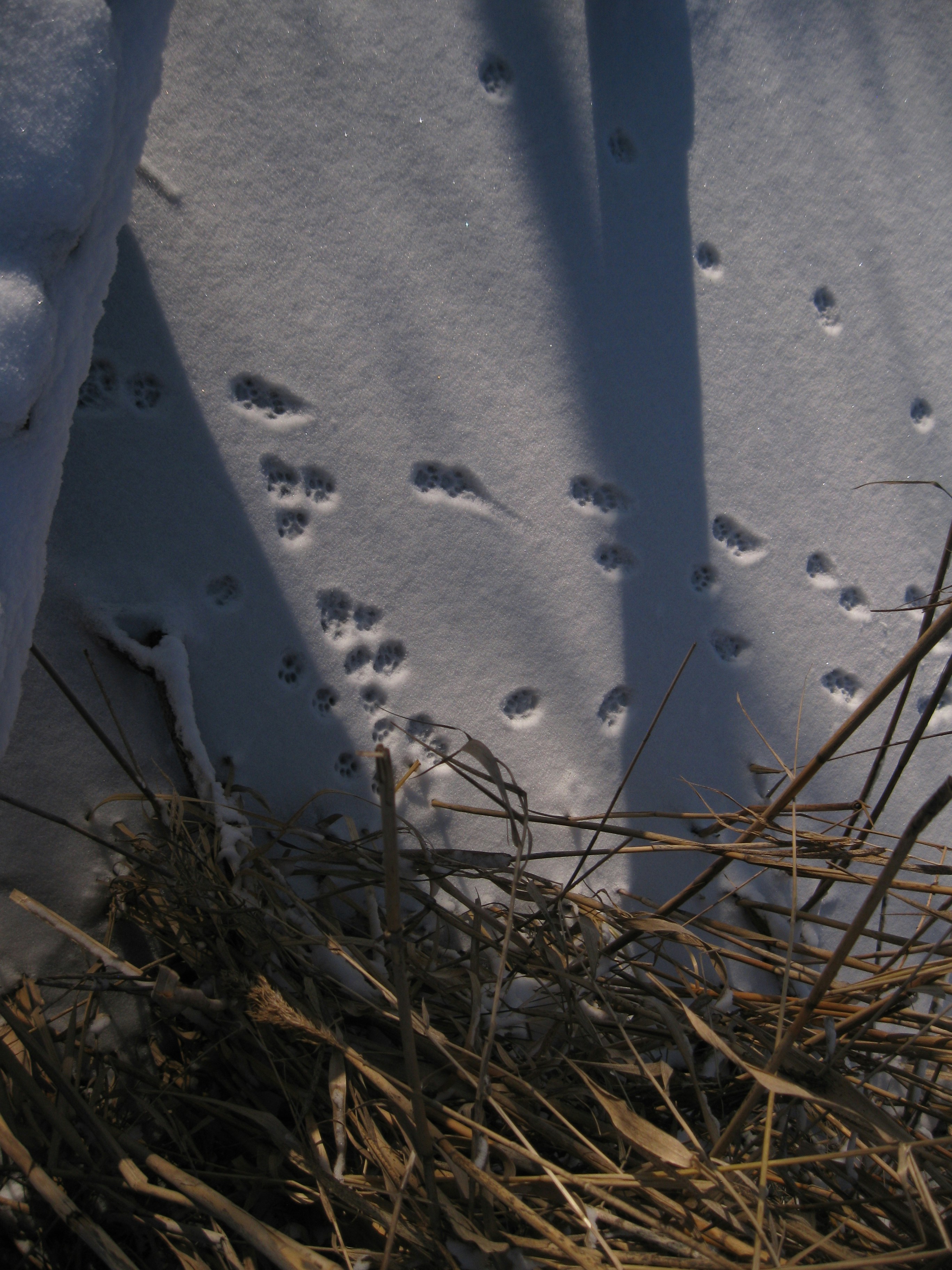 Photo by mariia_pravedna