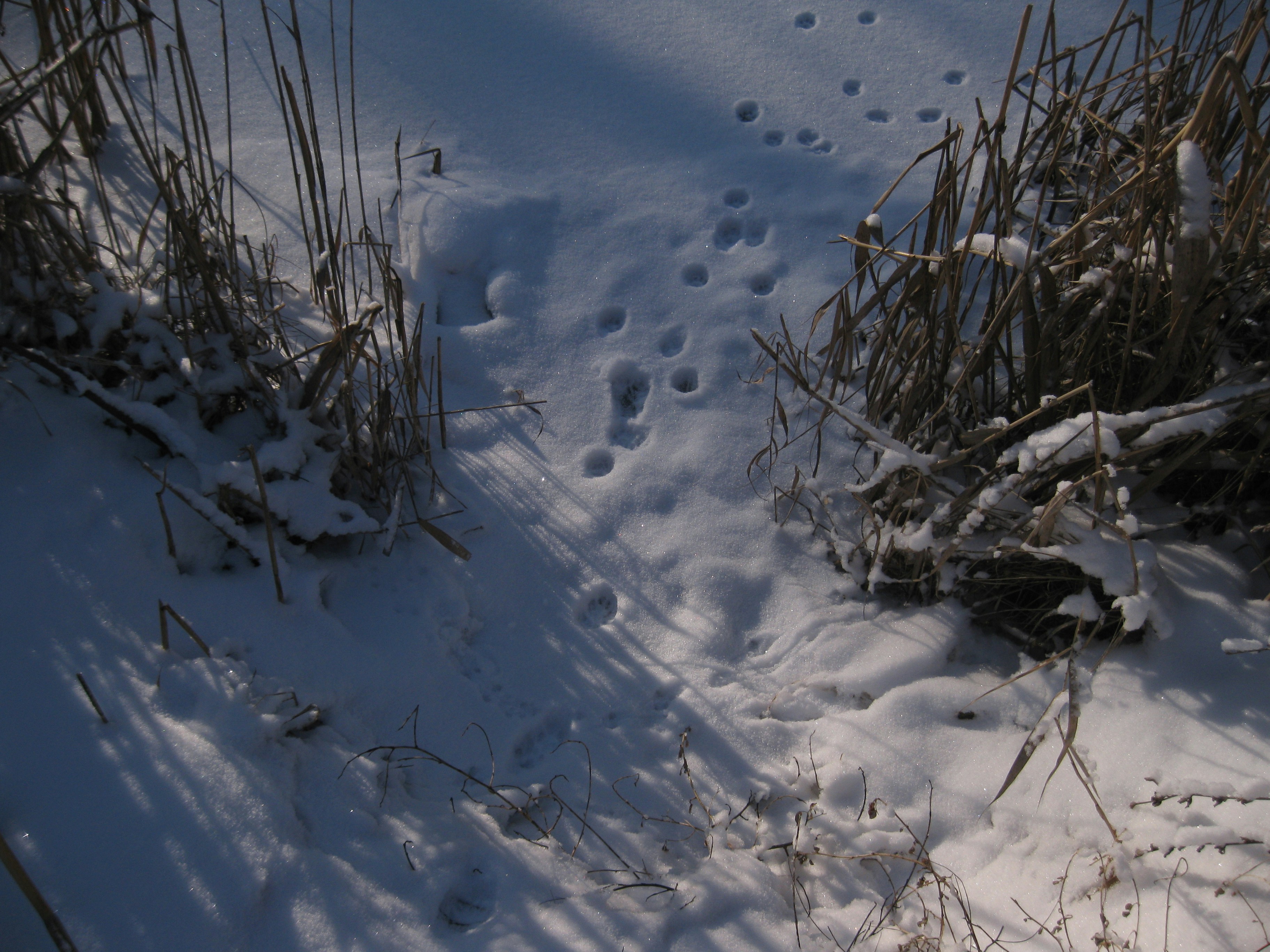 Photo by mariia_pravedna