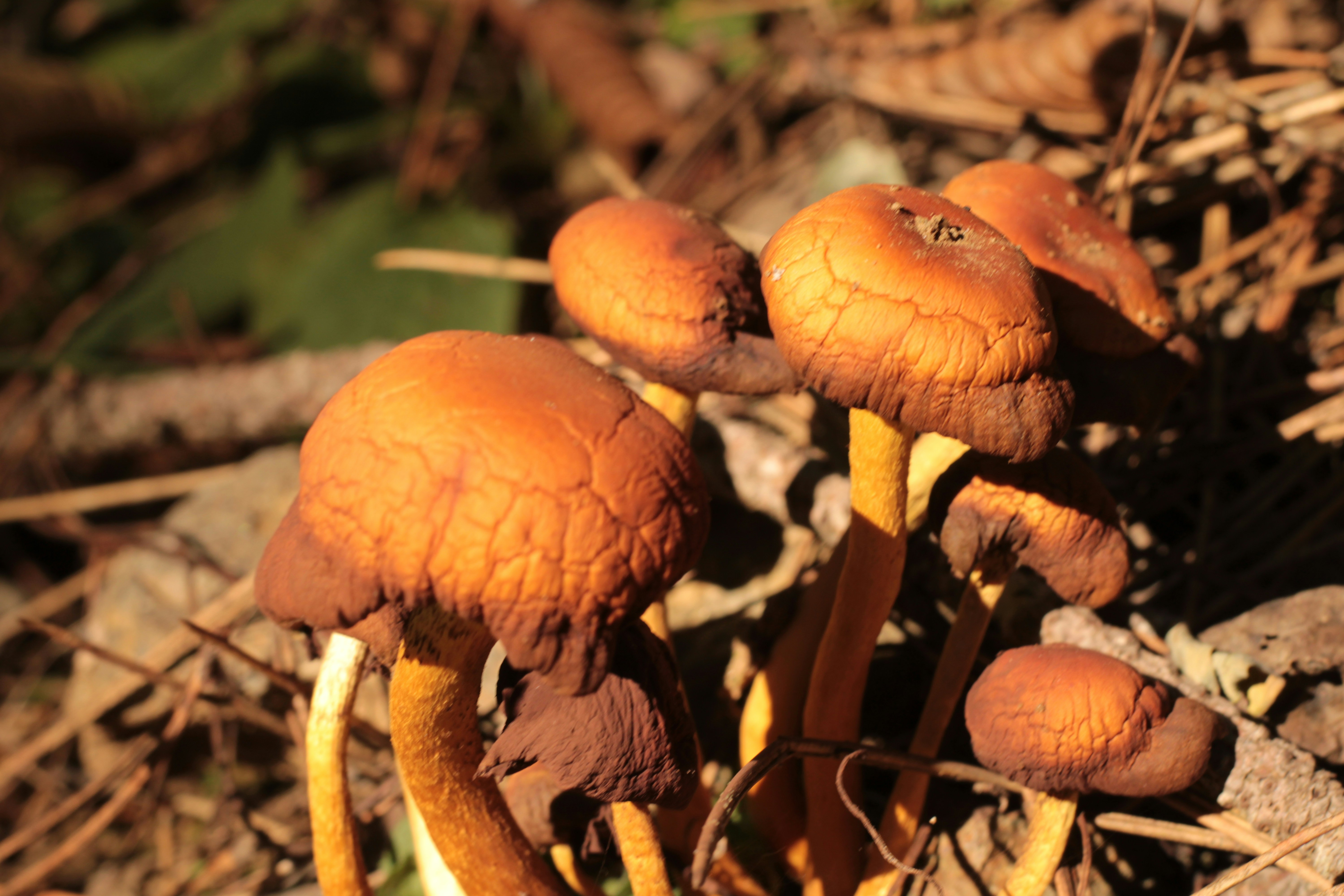 Photo by thorai9akira