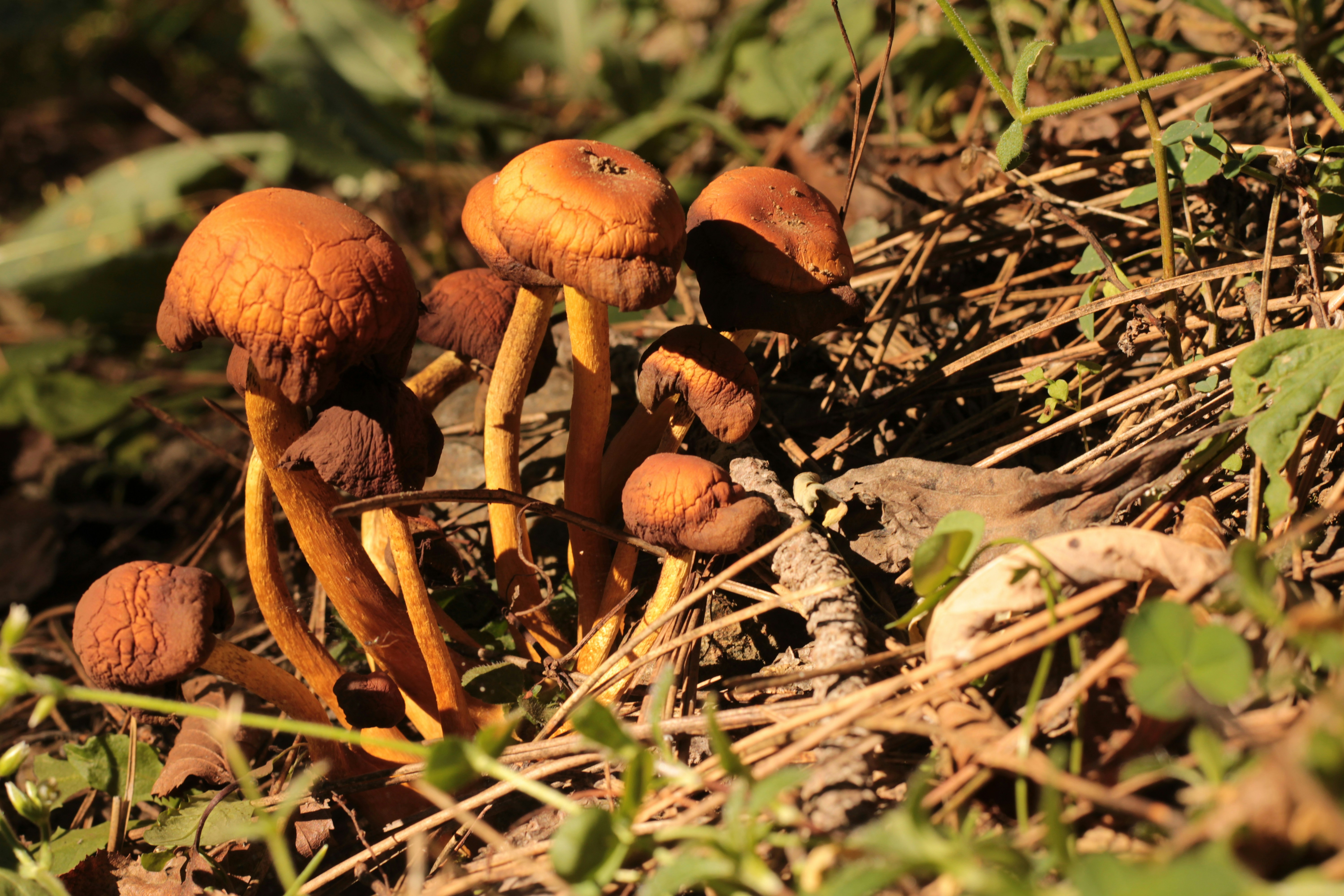 Photo by thorai9akira