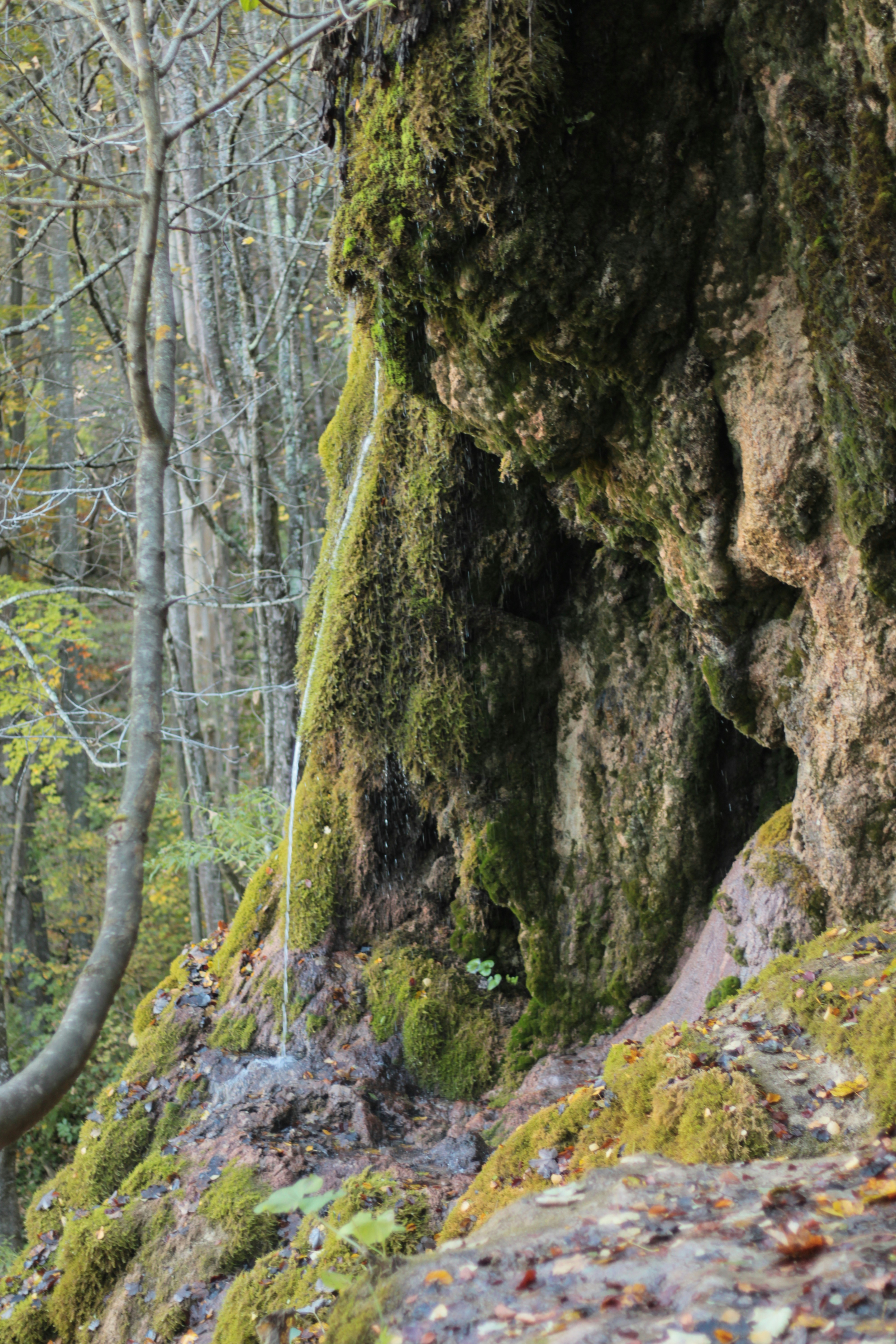 Photo by thorai9akira