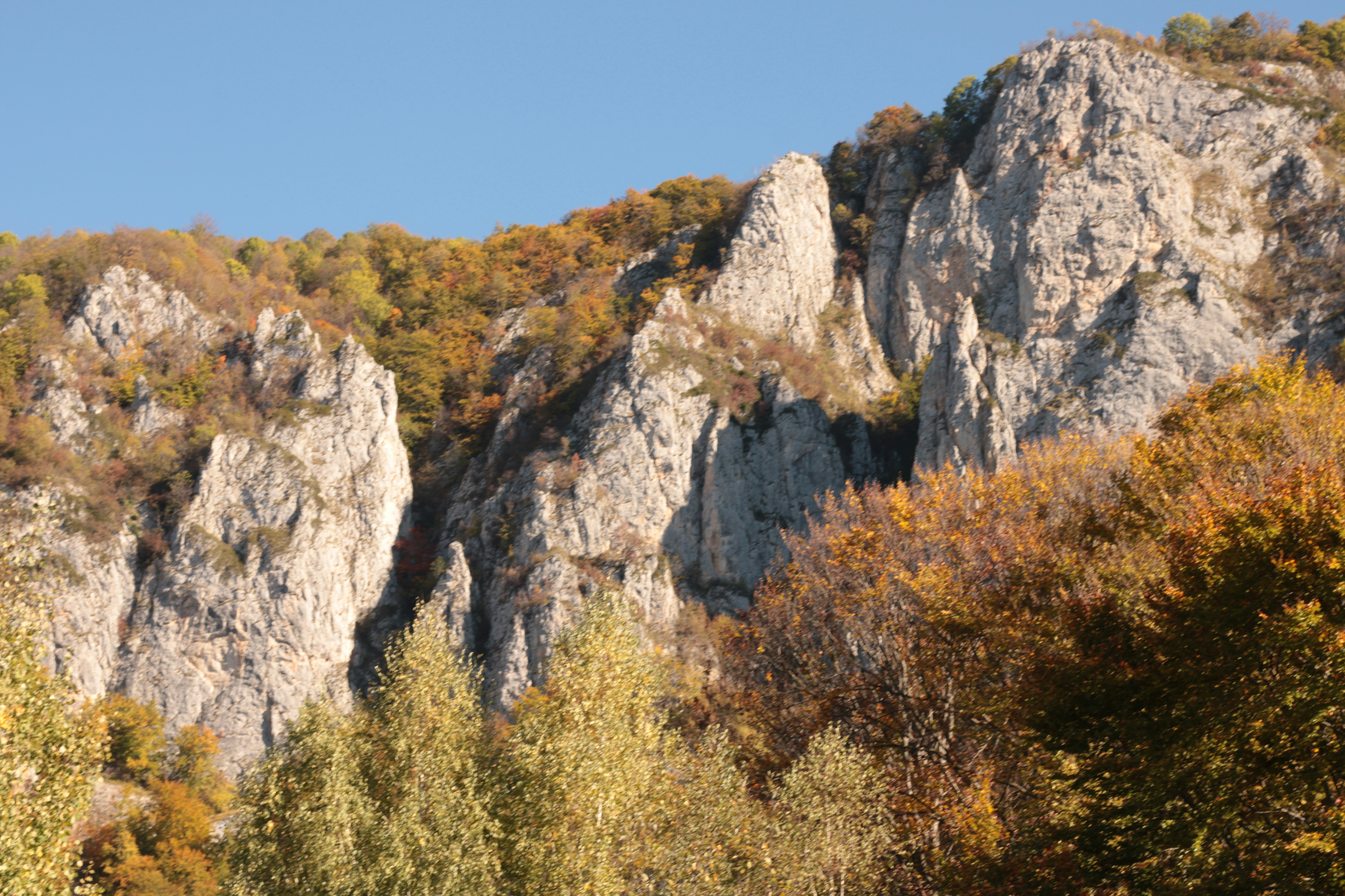 Photo by thorai9akira