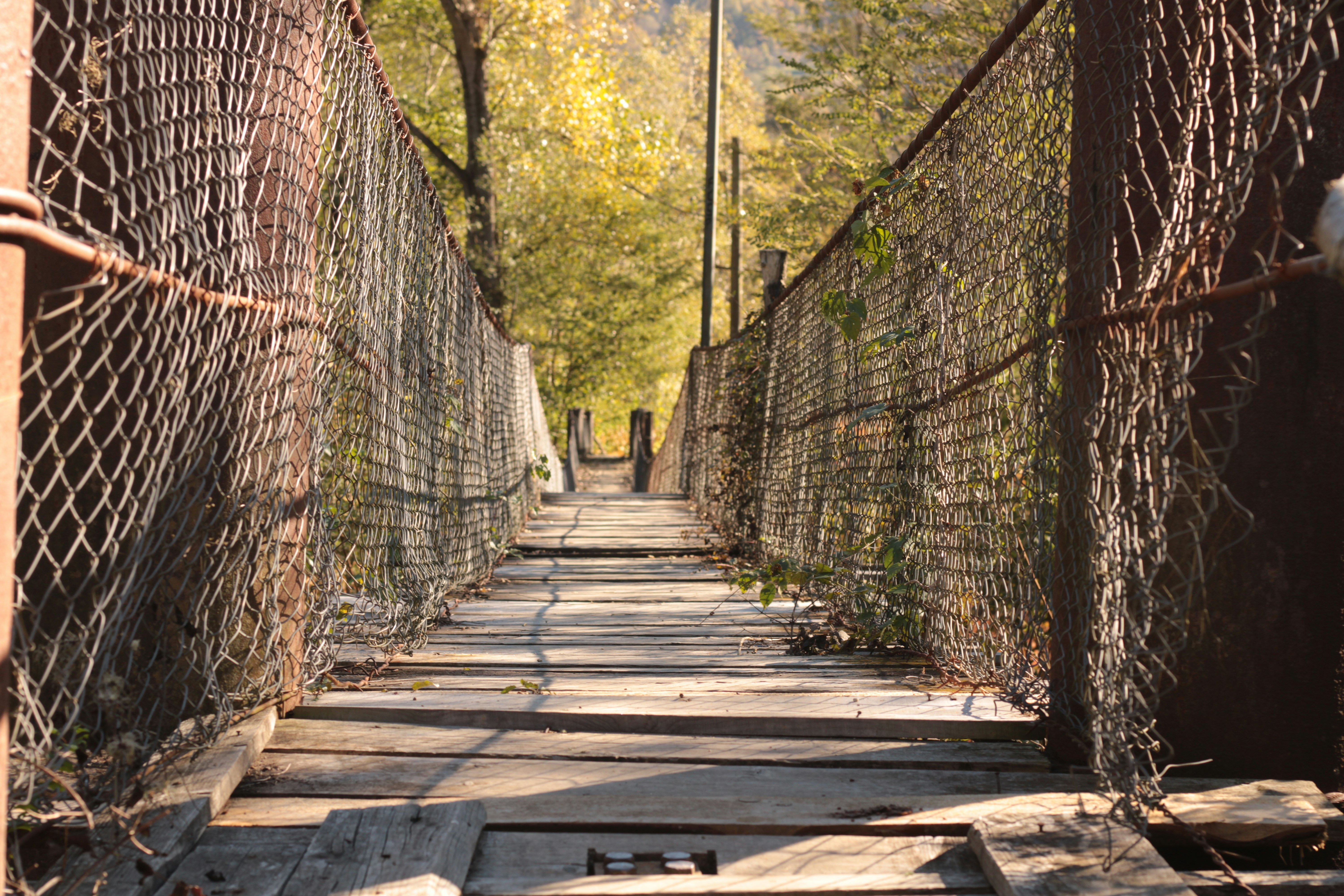 Photo by thorai9akira