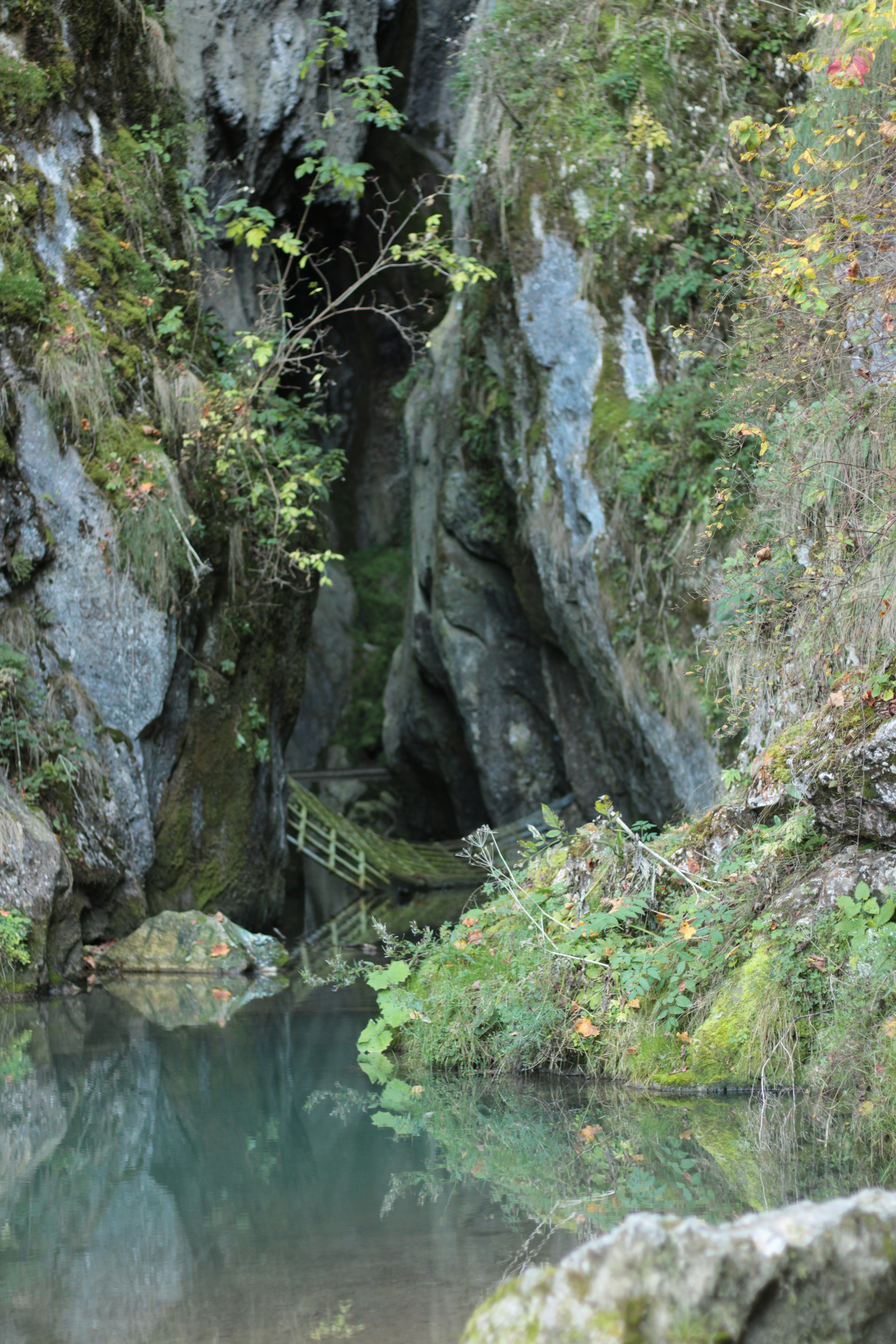 Photo by thorai9akira