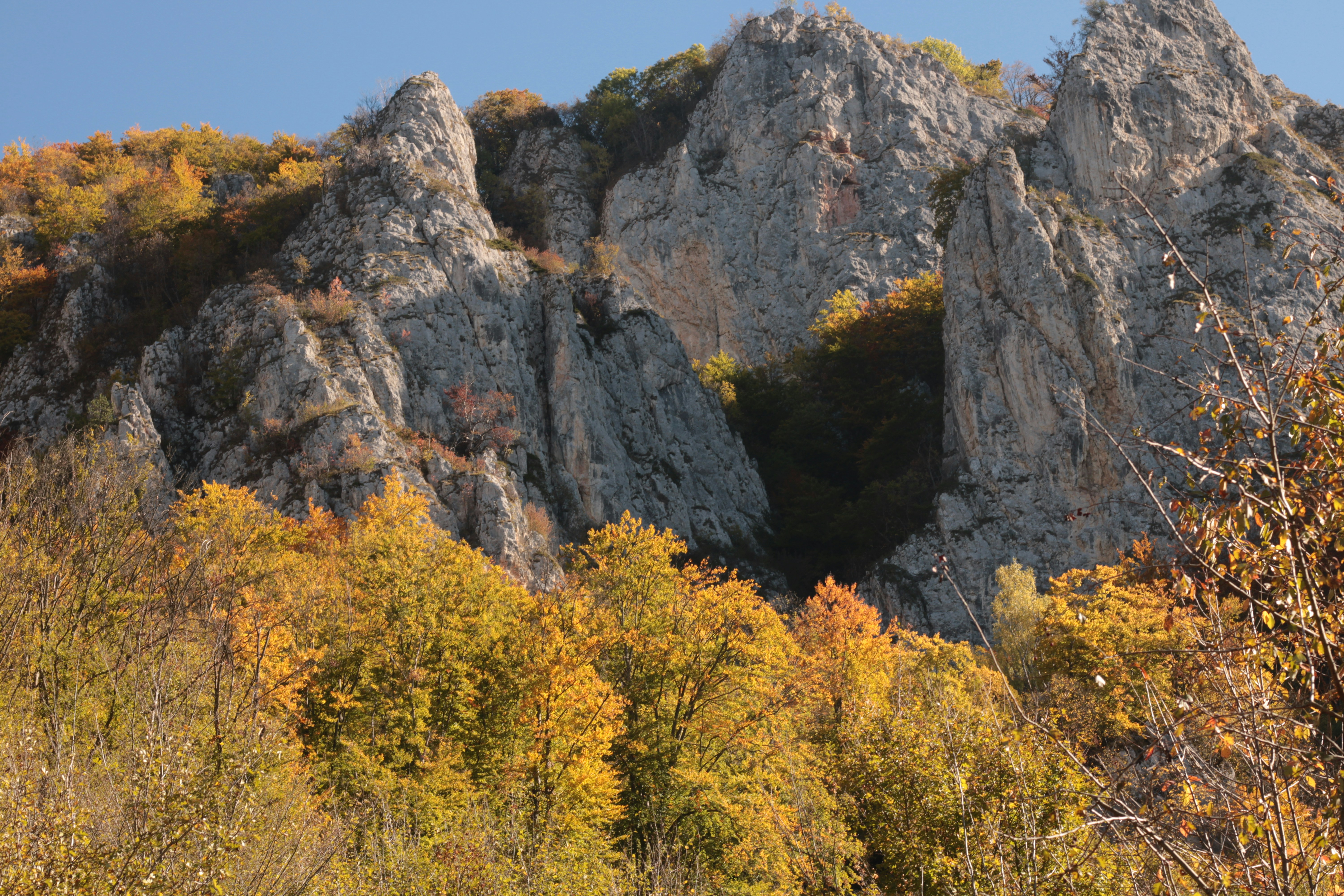 Photo by thorai9akira