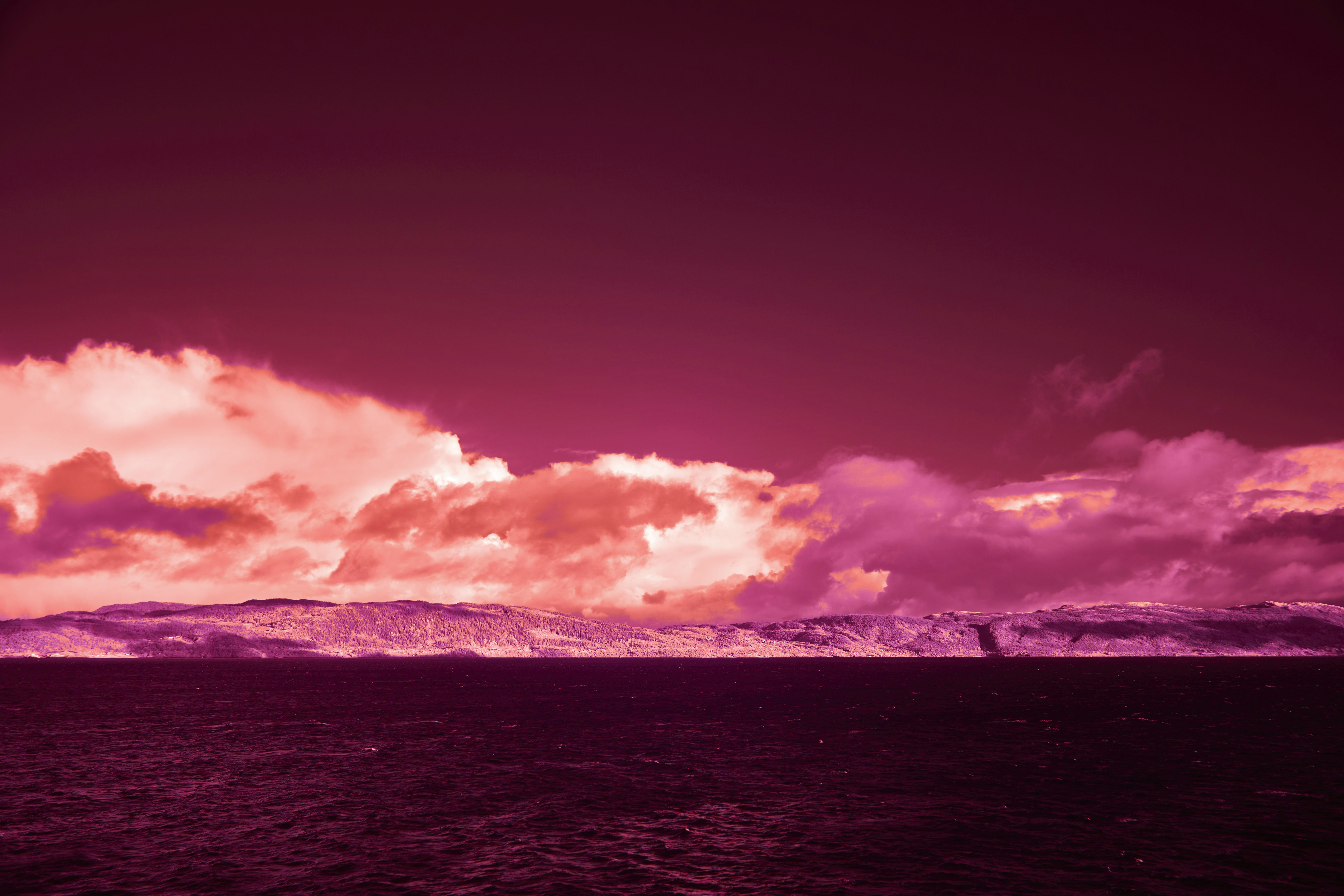 Photo by wolfgang_hasselmann