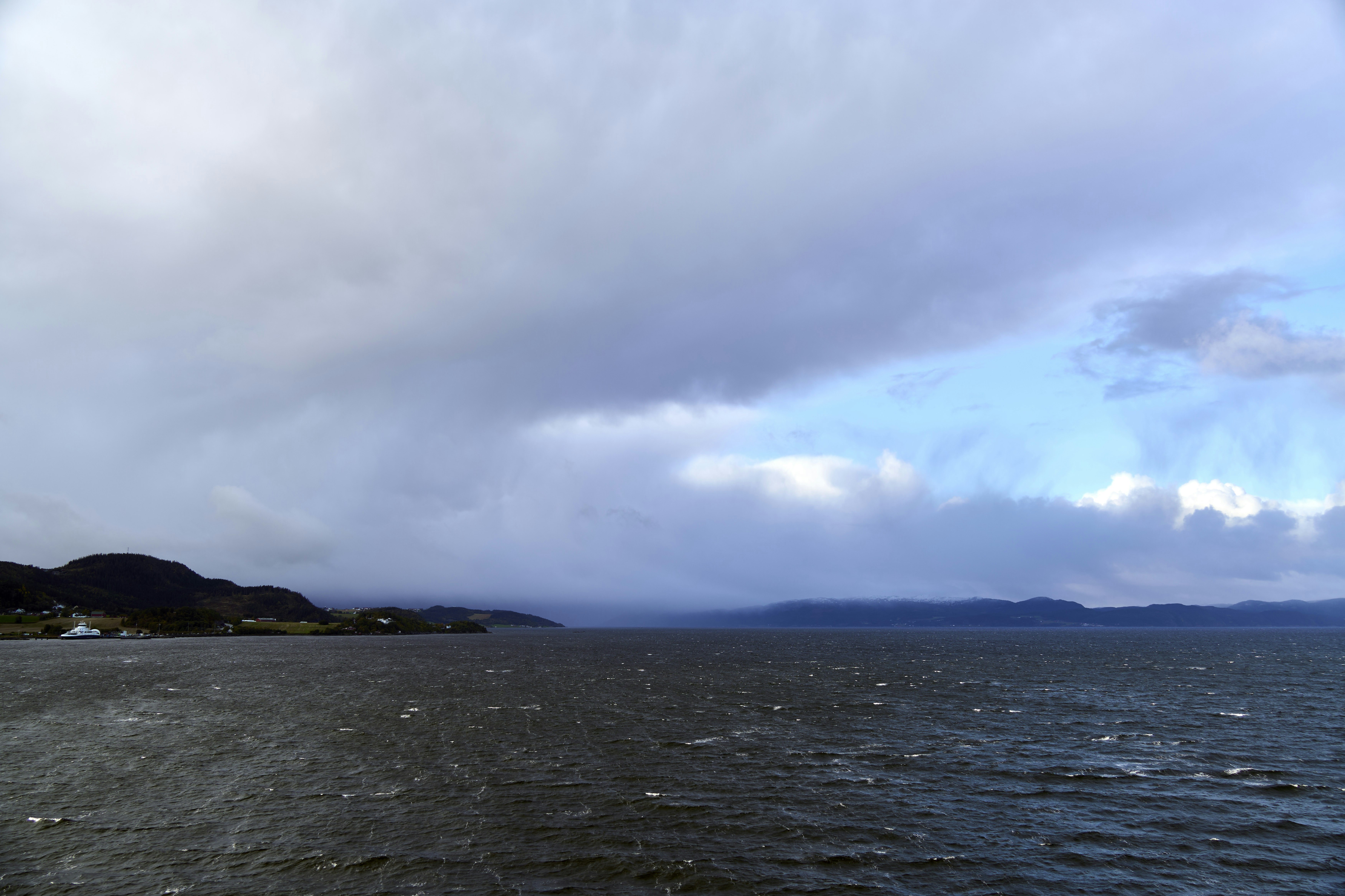 Photo by wolfgang_hasselmann