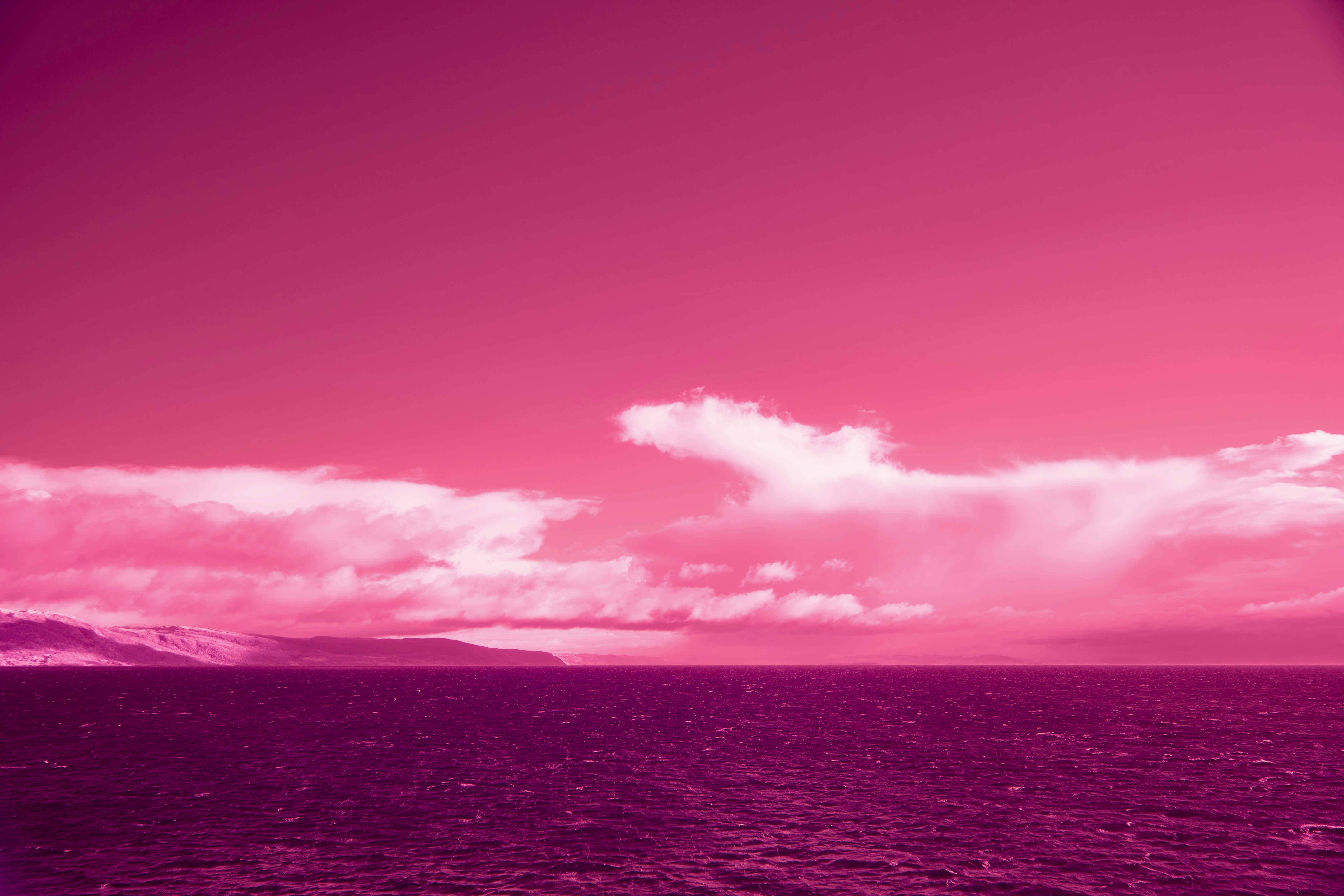 Photo by wolfgang_hasselmann