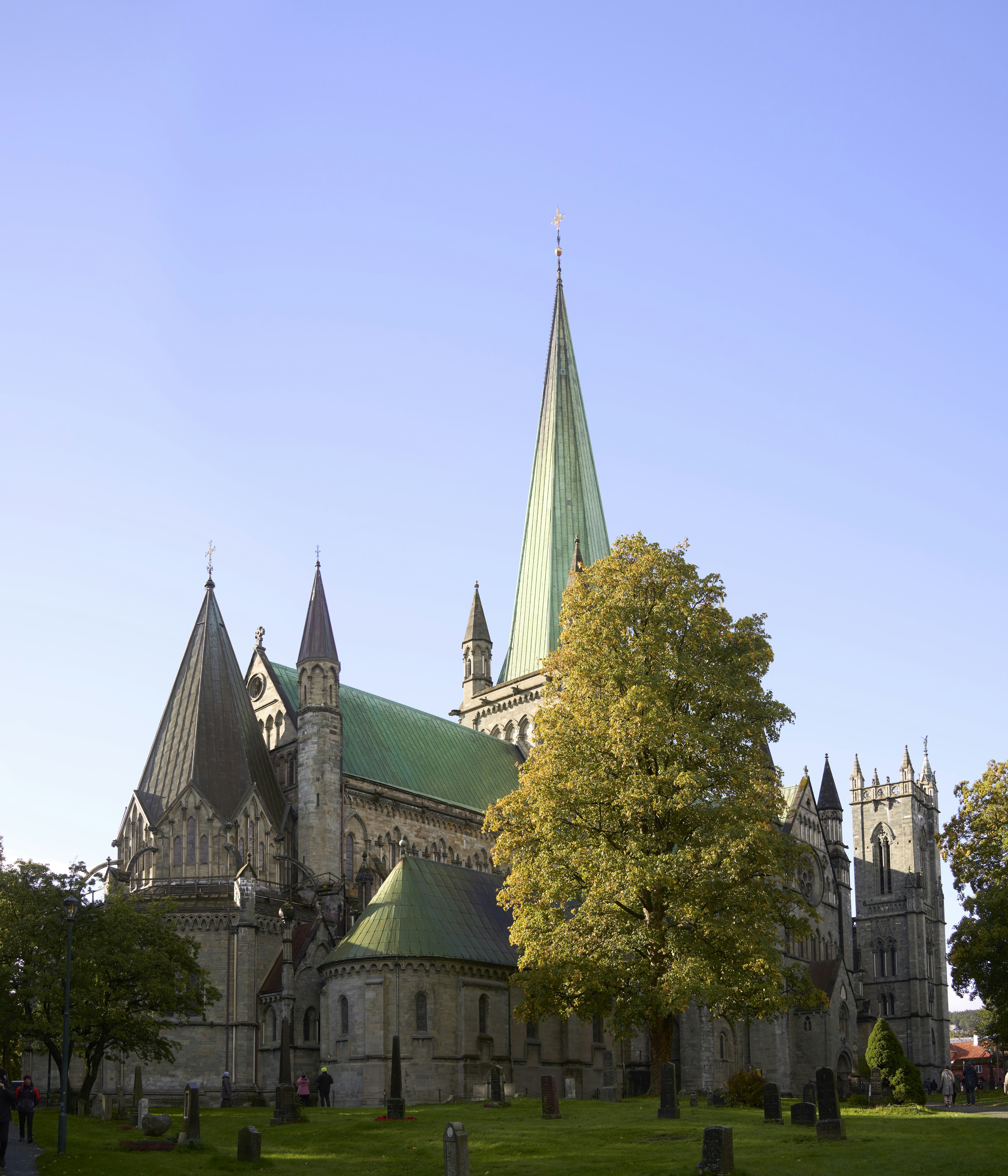 Photo by wolfgang_hasselmann