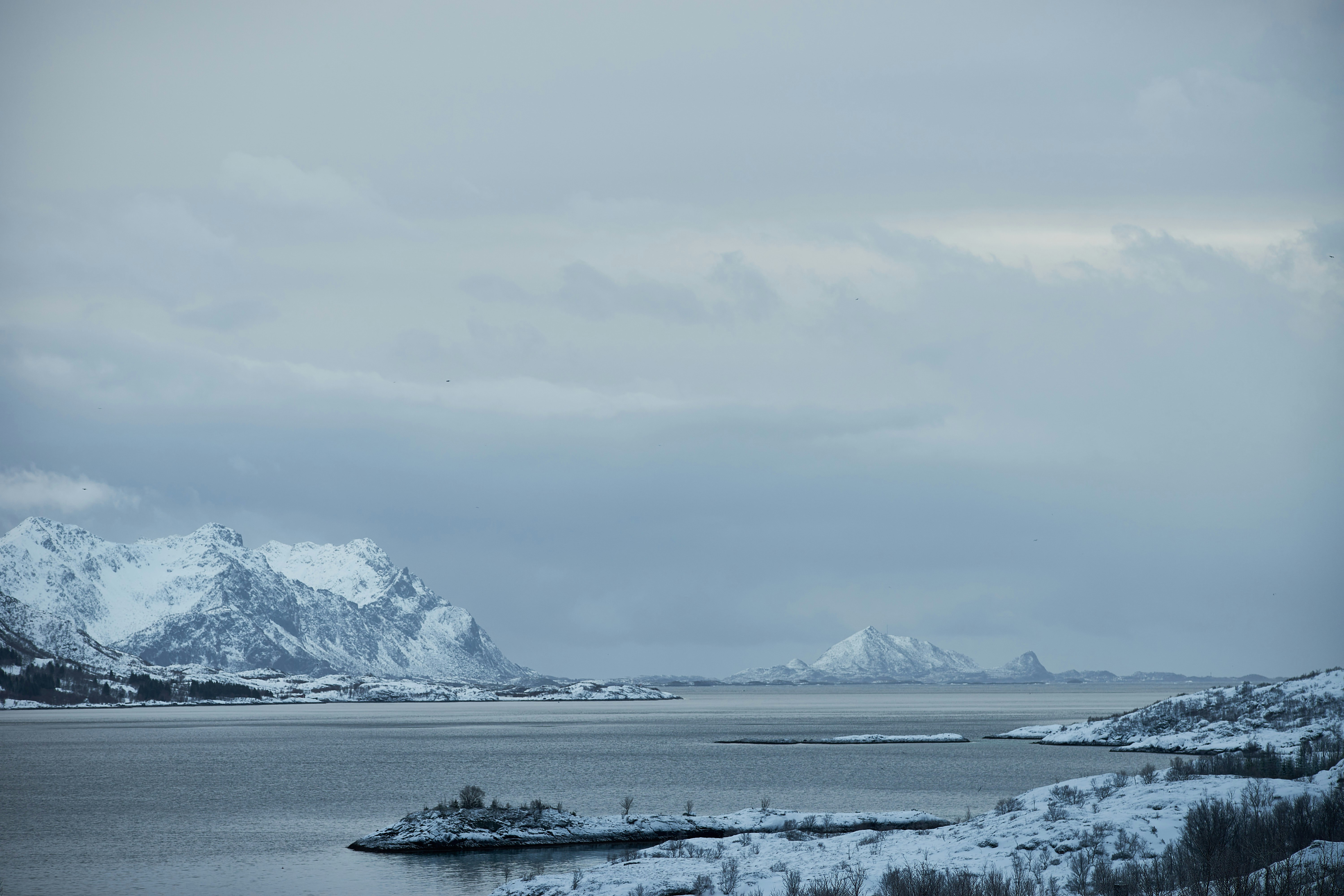 Photo by wolfgang_hasselmann