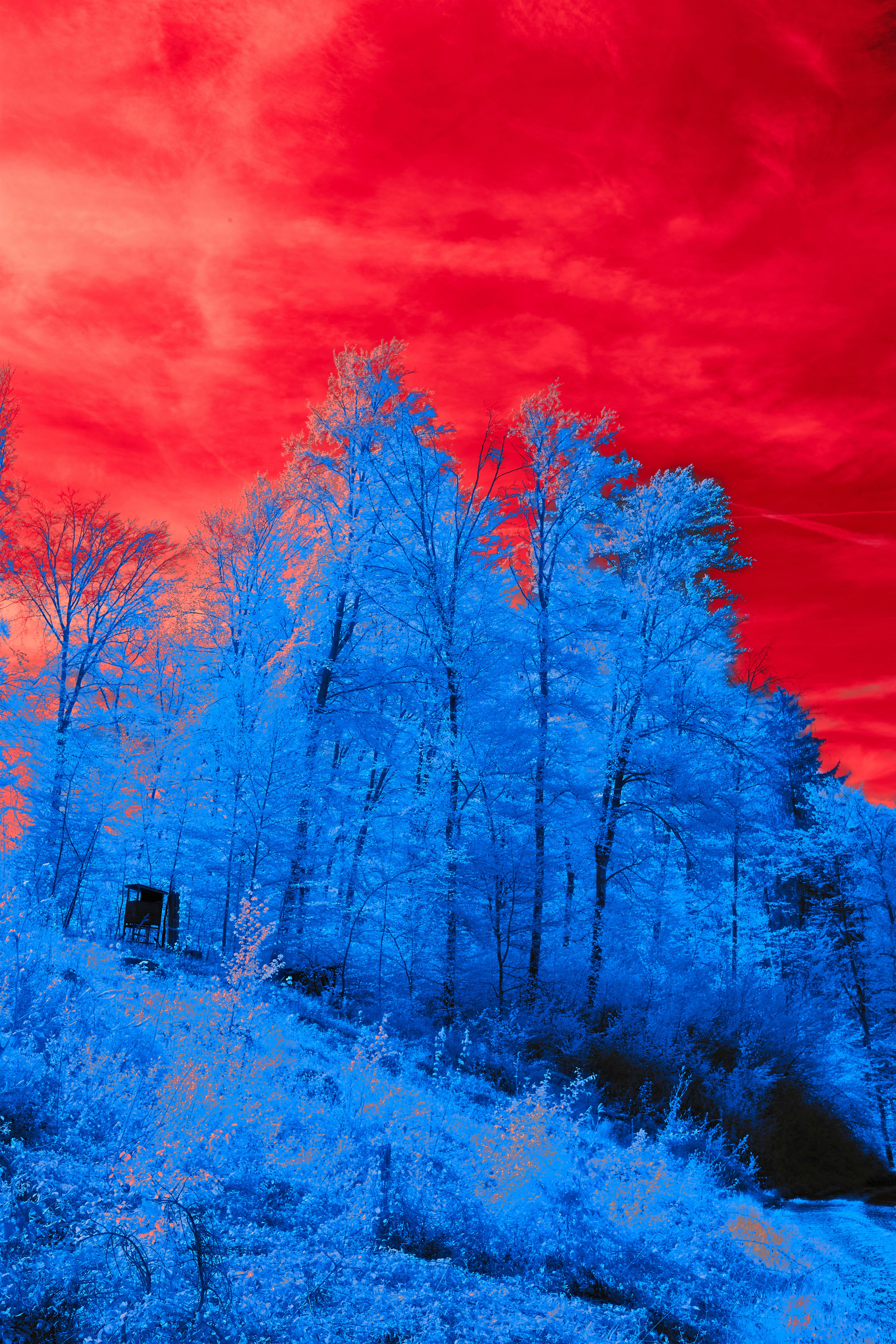 Photo by wolfgang_hasselmann