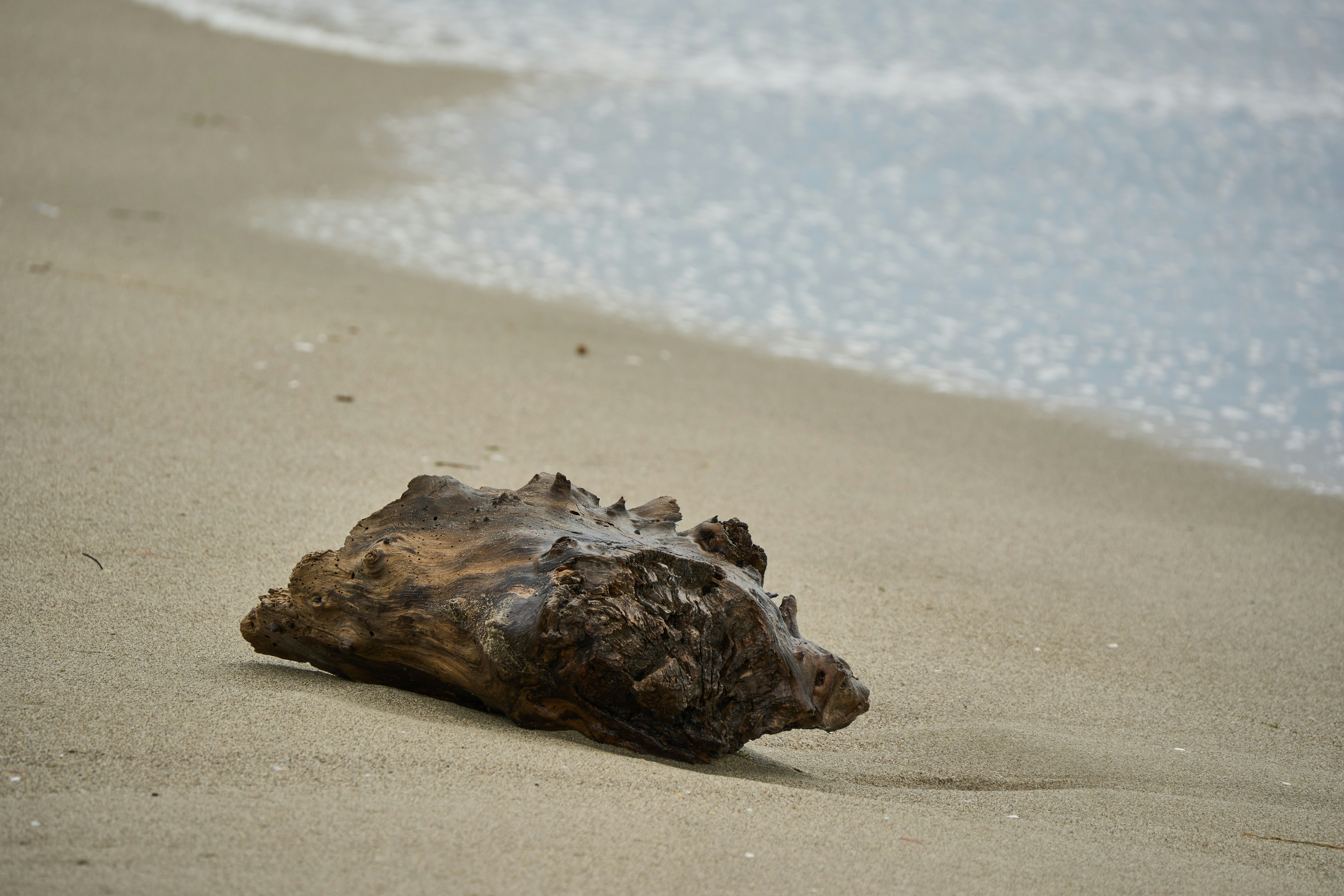 Photo by wolfgang_hasselmann