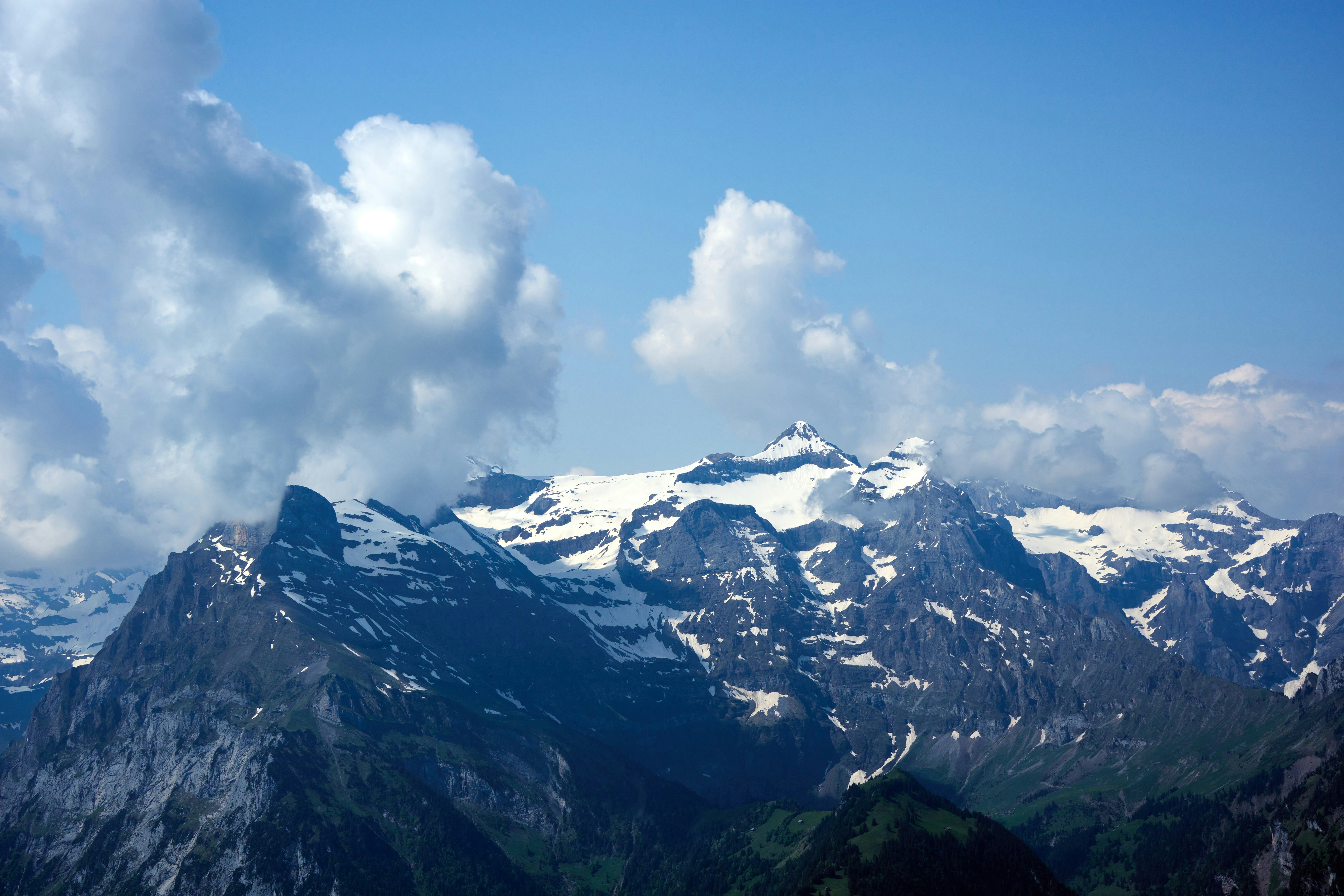 Photo by wolfgang_hasselmann