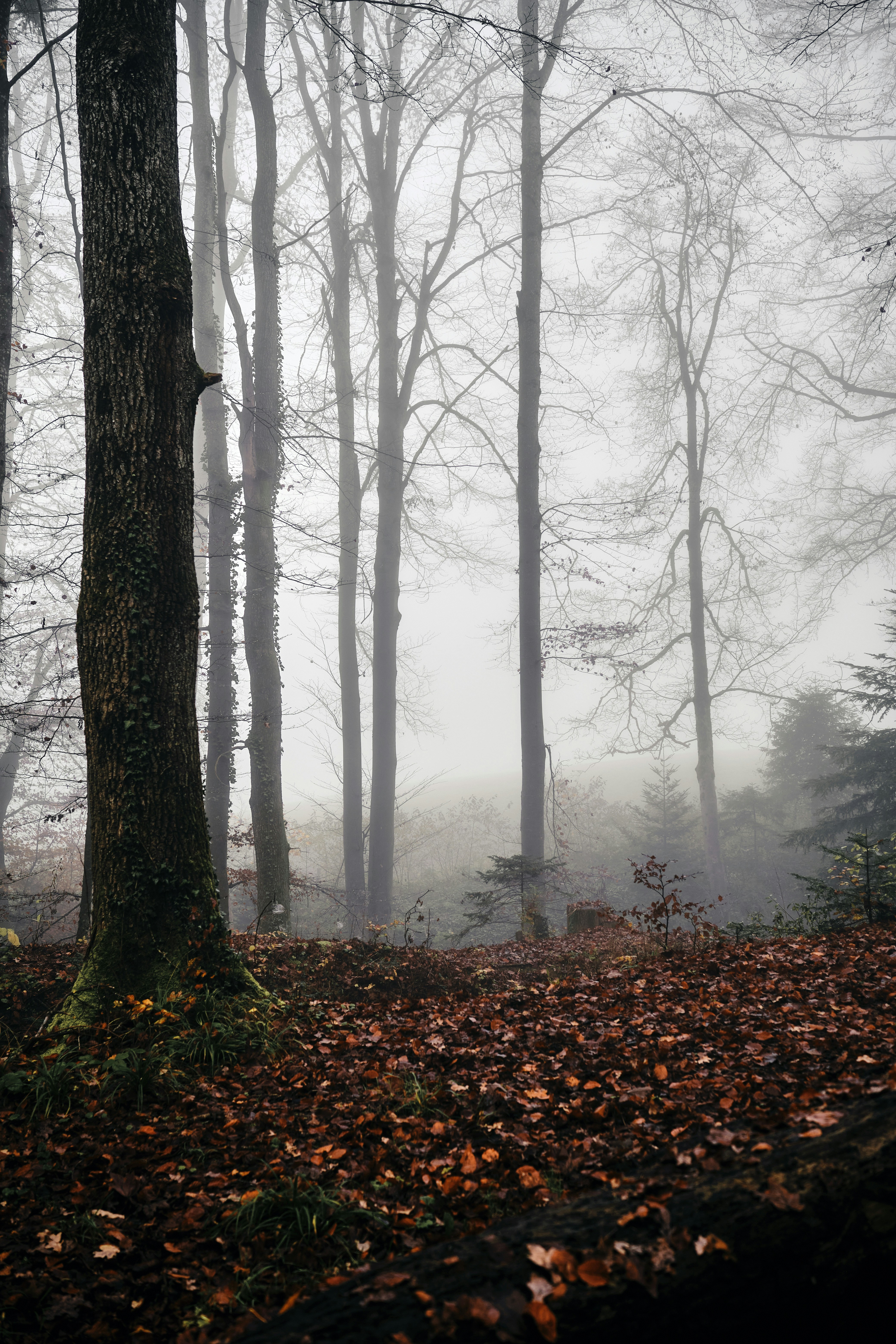 Photo by marcus_ganahl