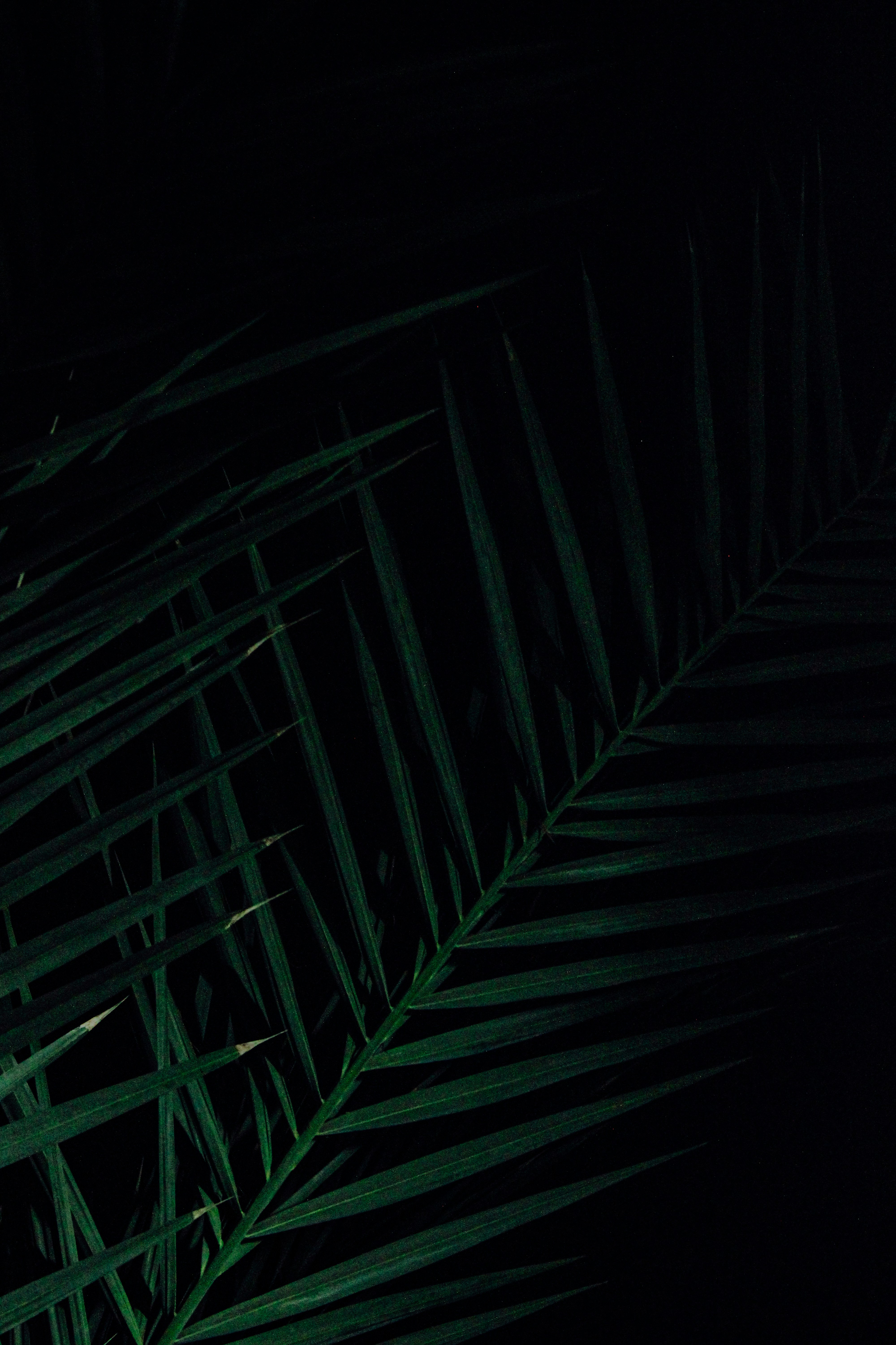 Photo by maverick_99