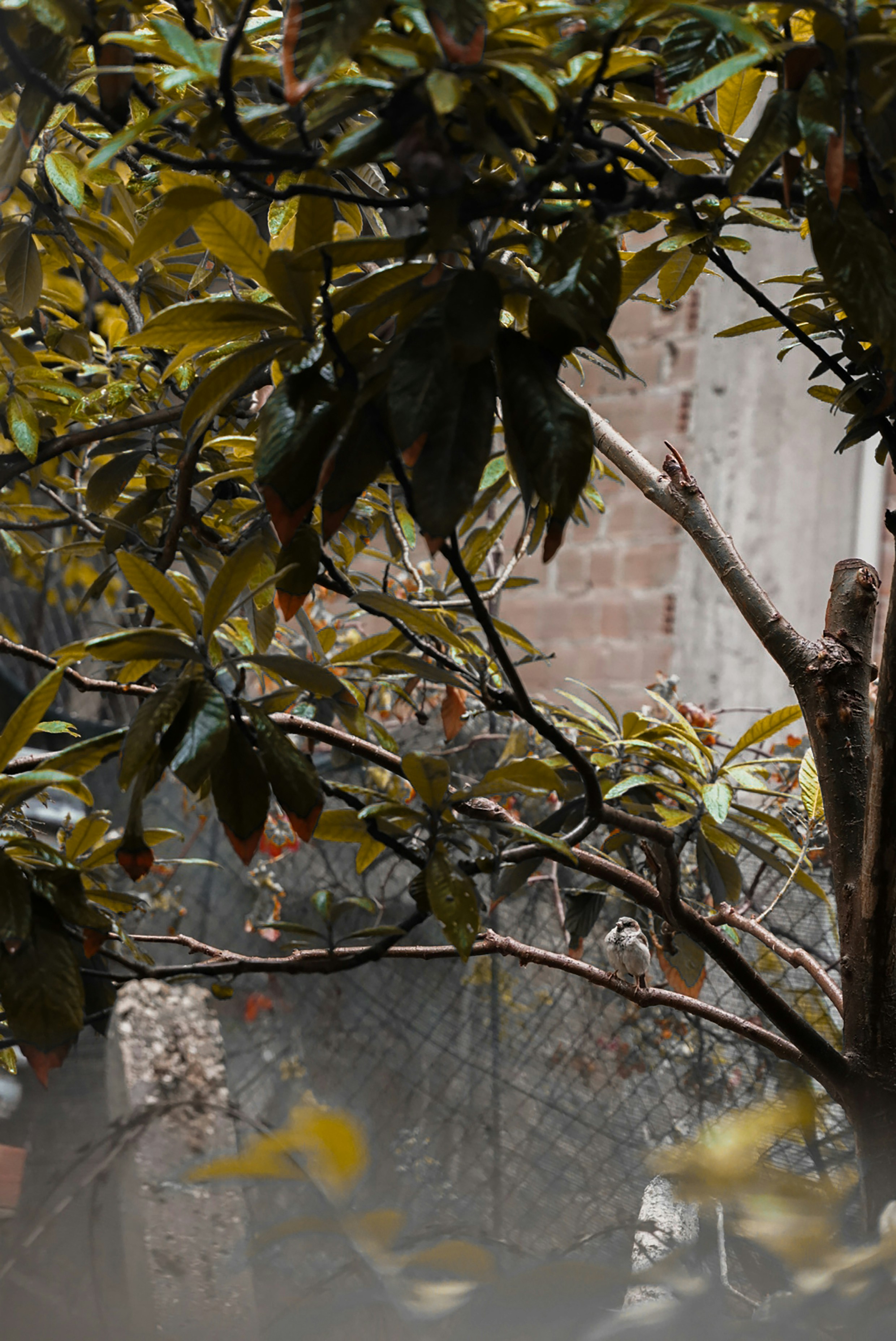 Photo by yarensphotoworks