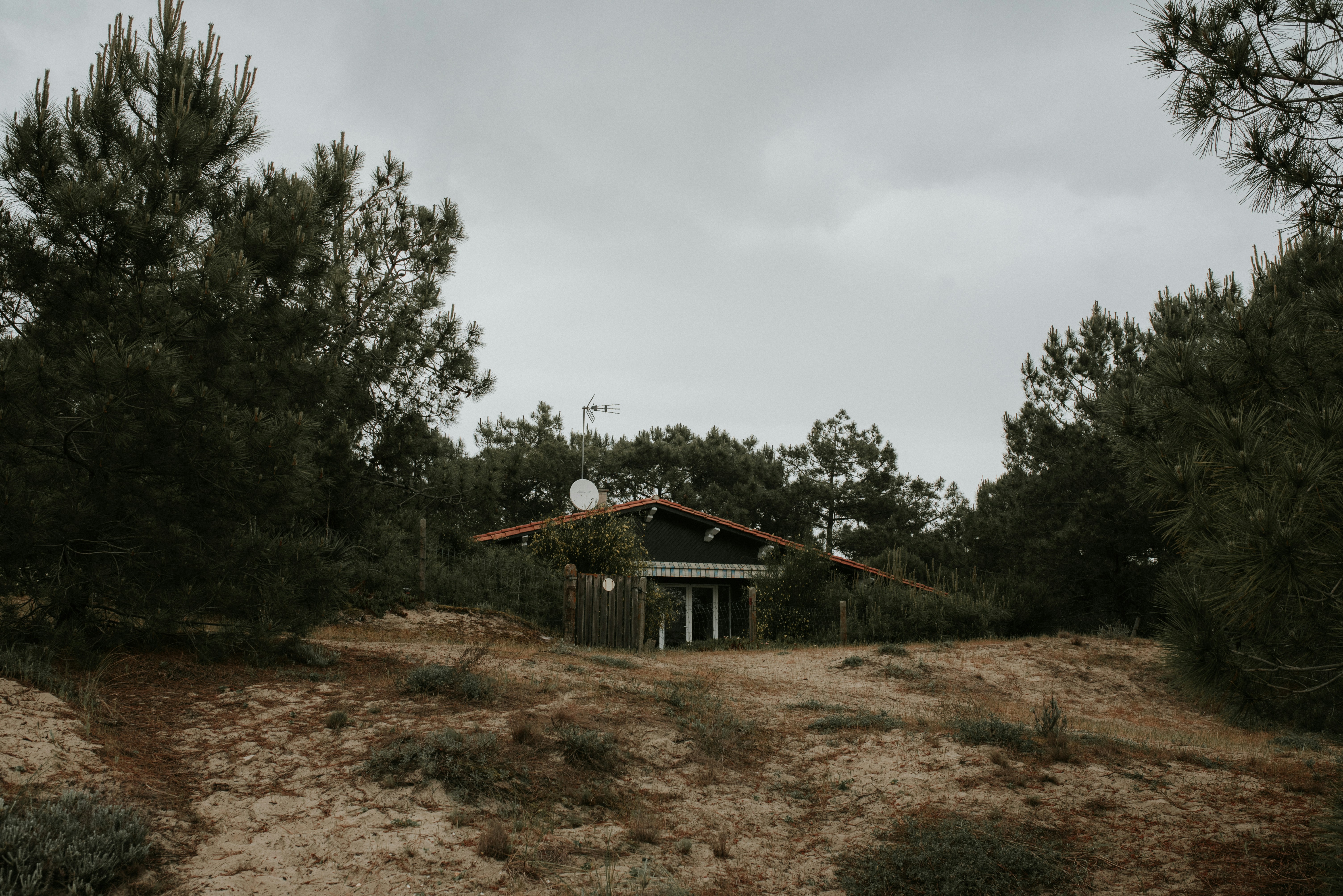 Photo by alexandretopolewski