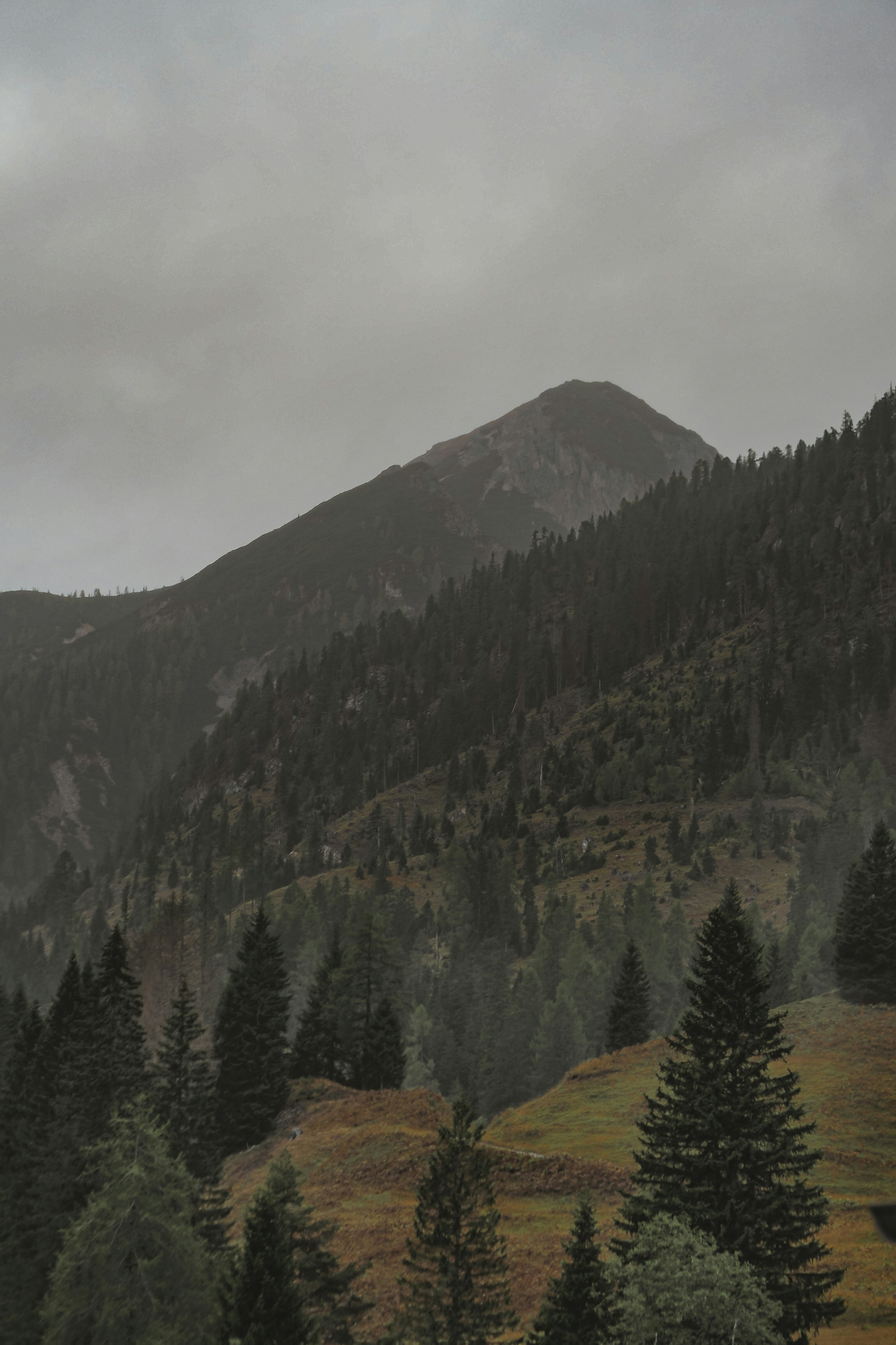 Photo by laurachouette