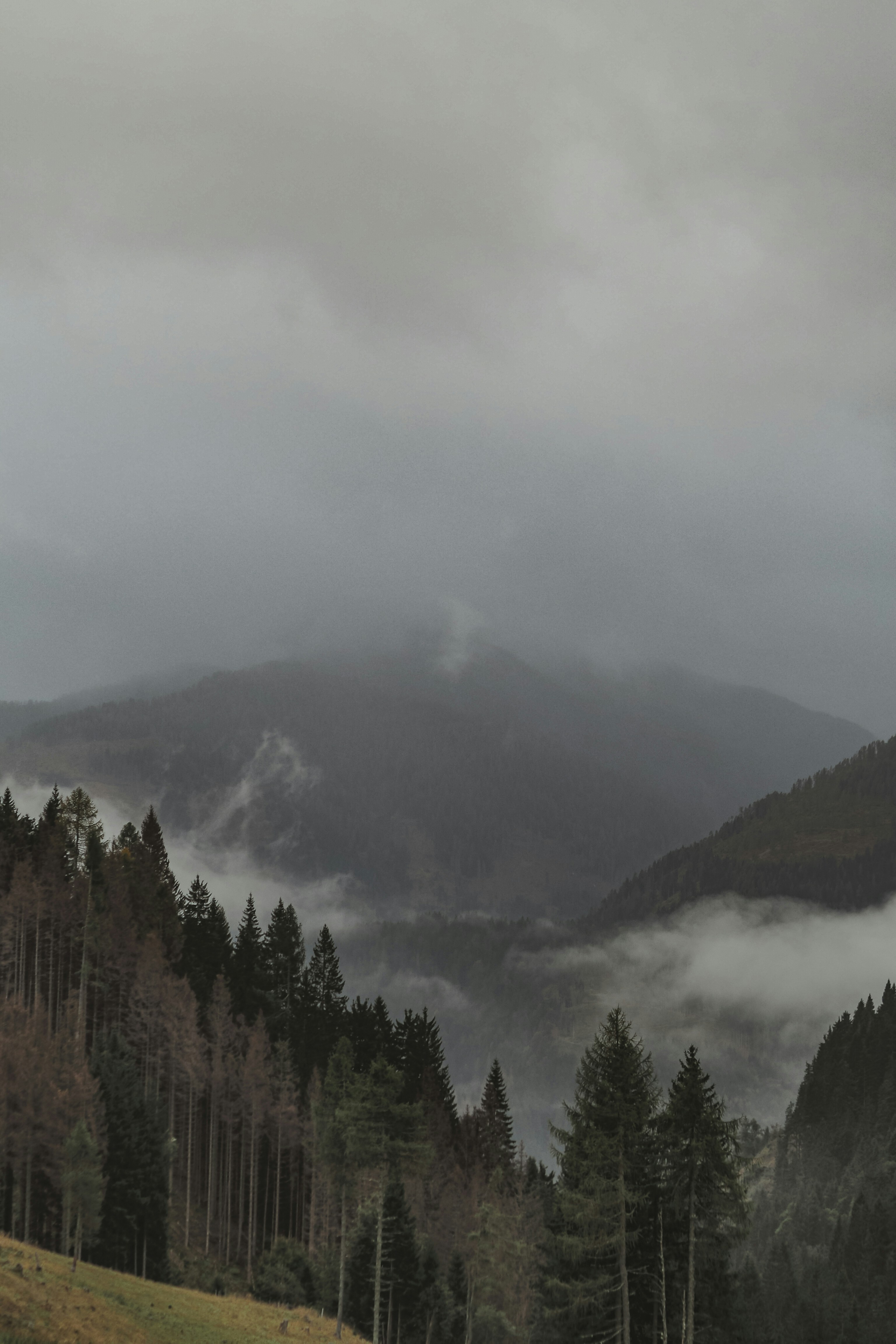 Photo by laurachouette