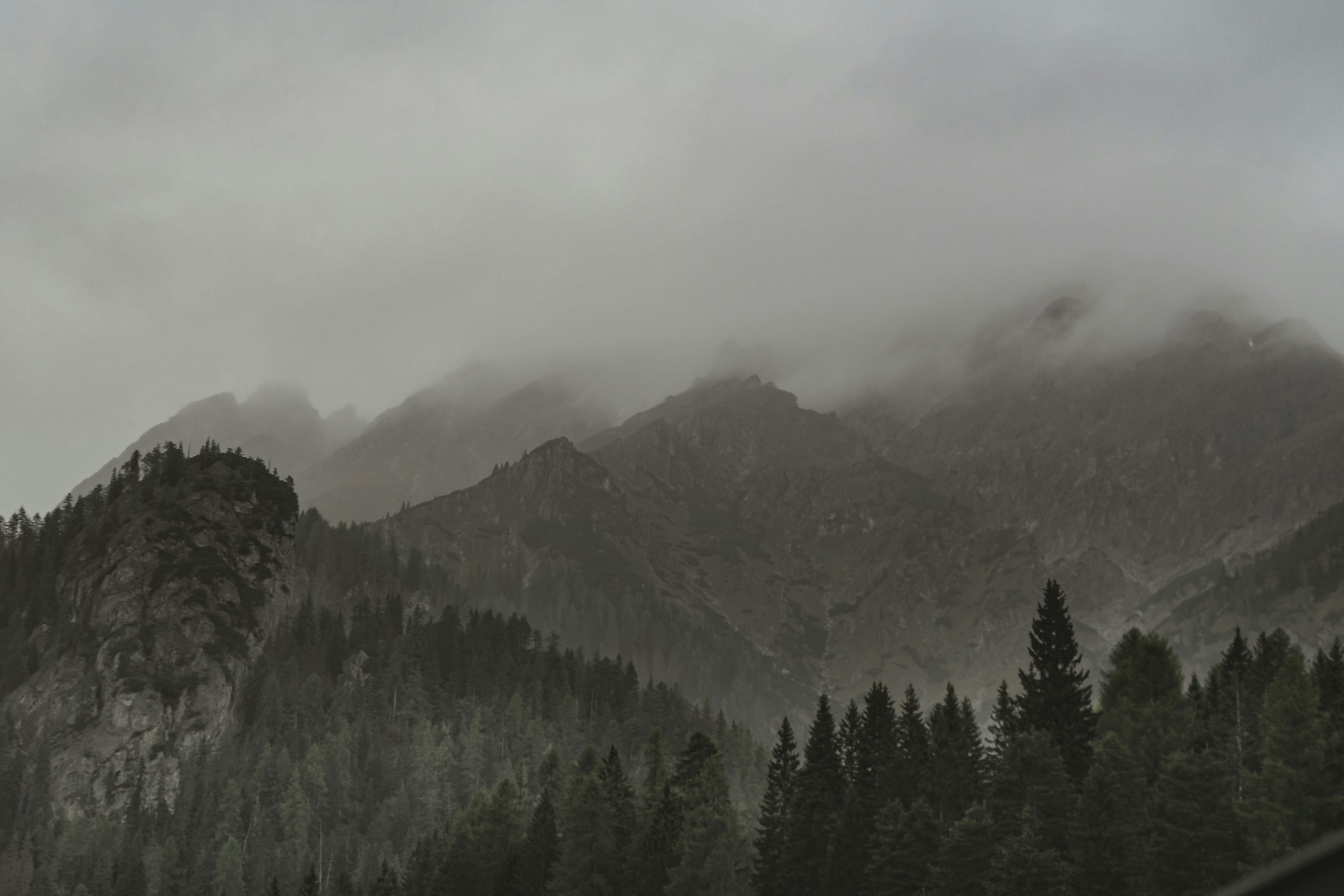 Photo by laurachouette