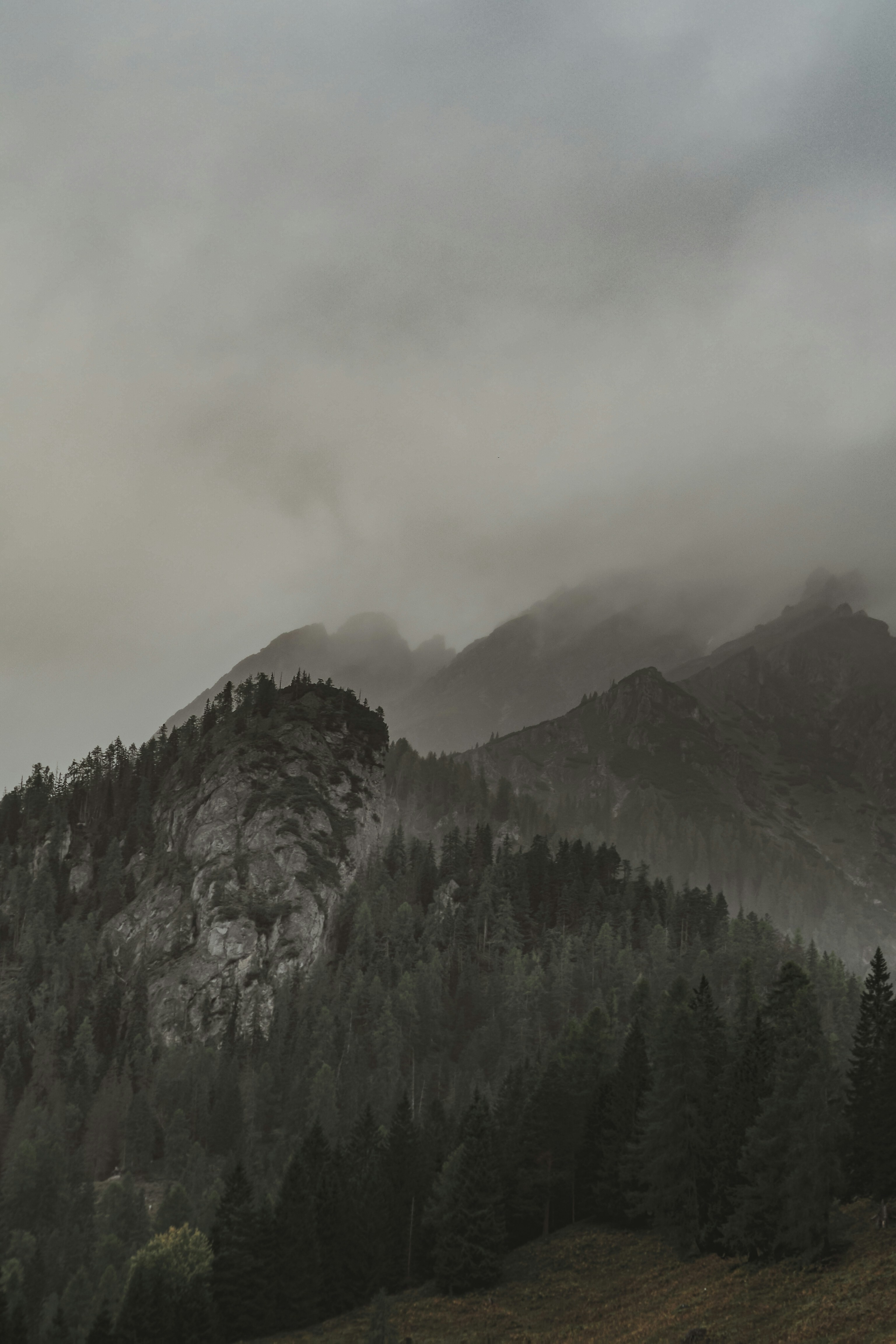 Photo by laurachouette