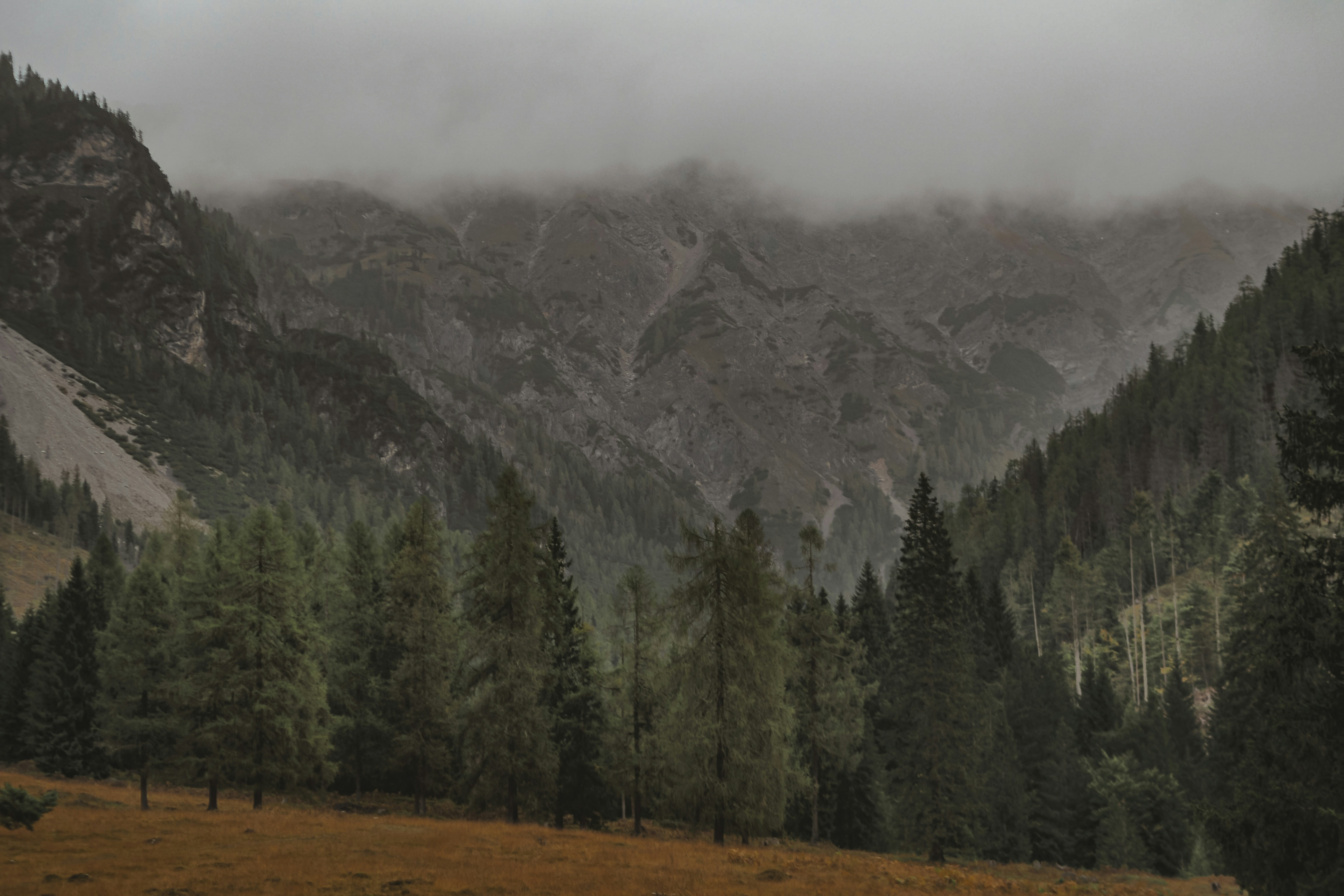 Photo by laurachouette