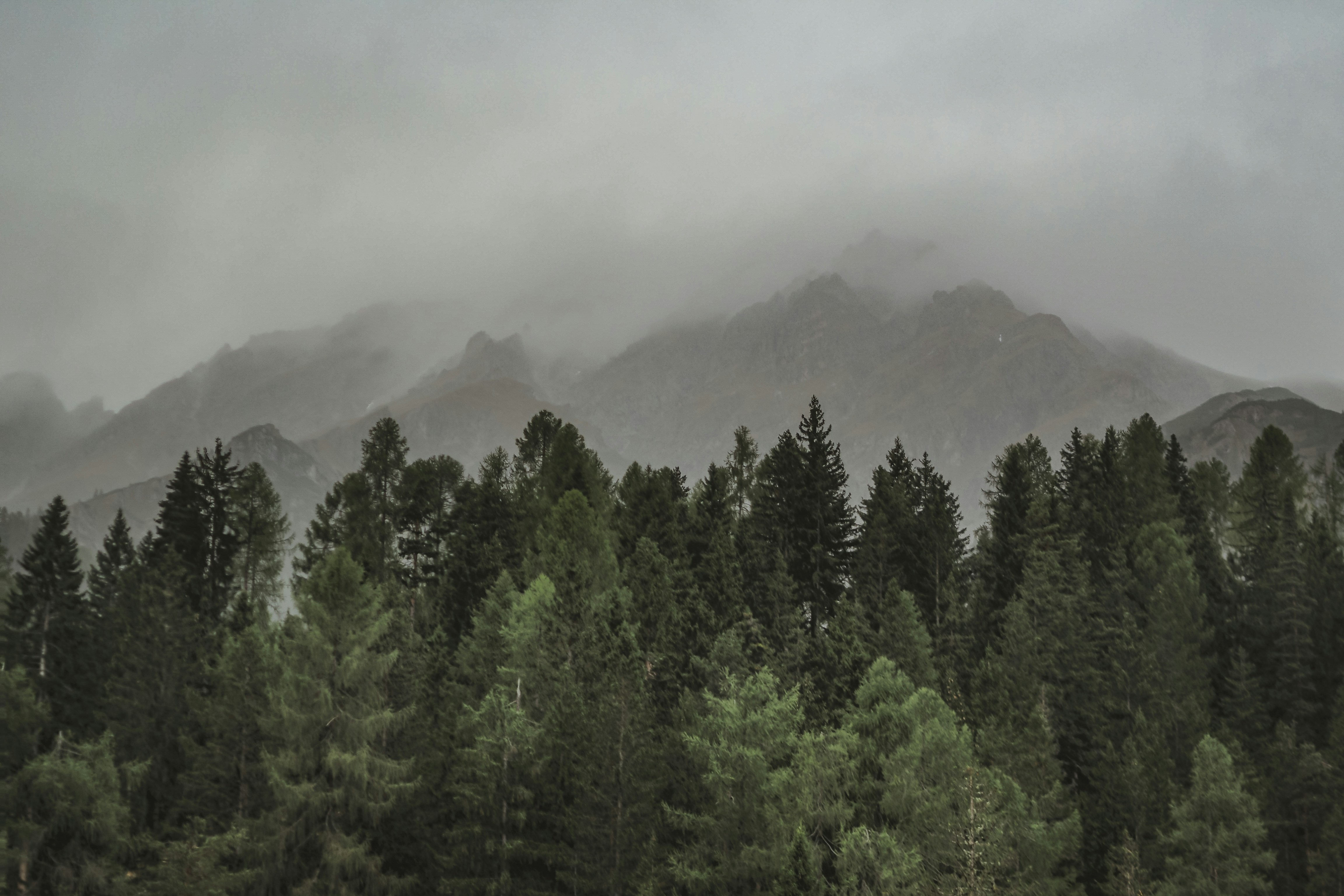 Photo by laurachouette