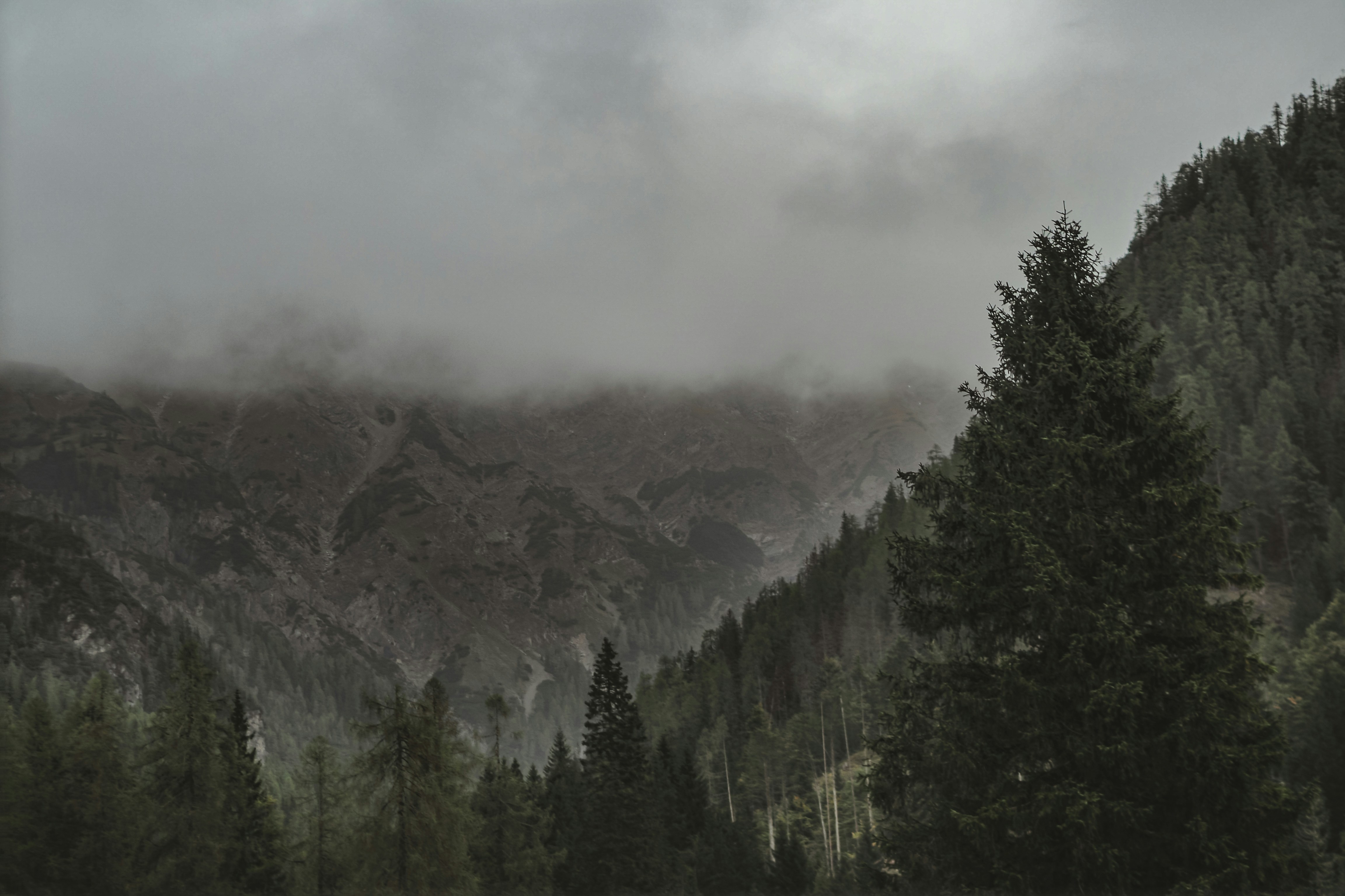 Photo by laurachouette