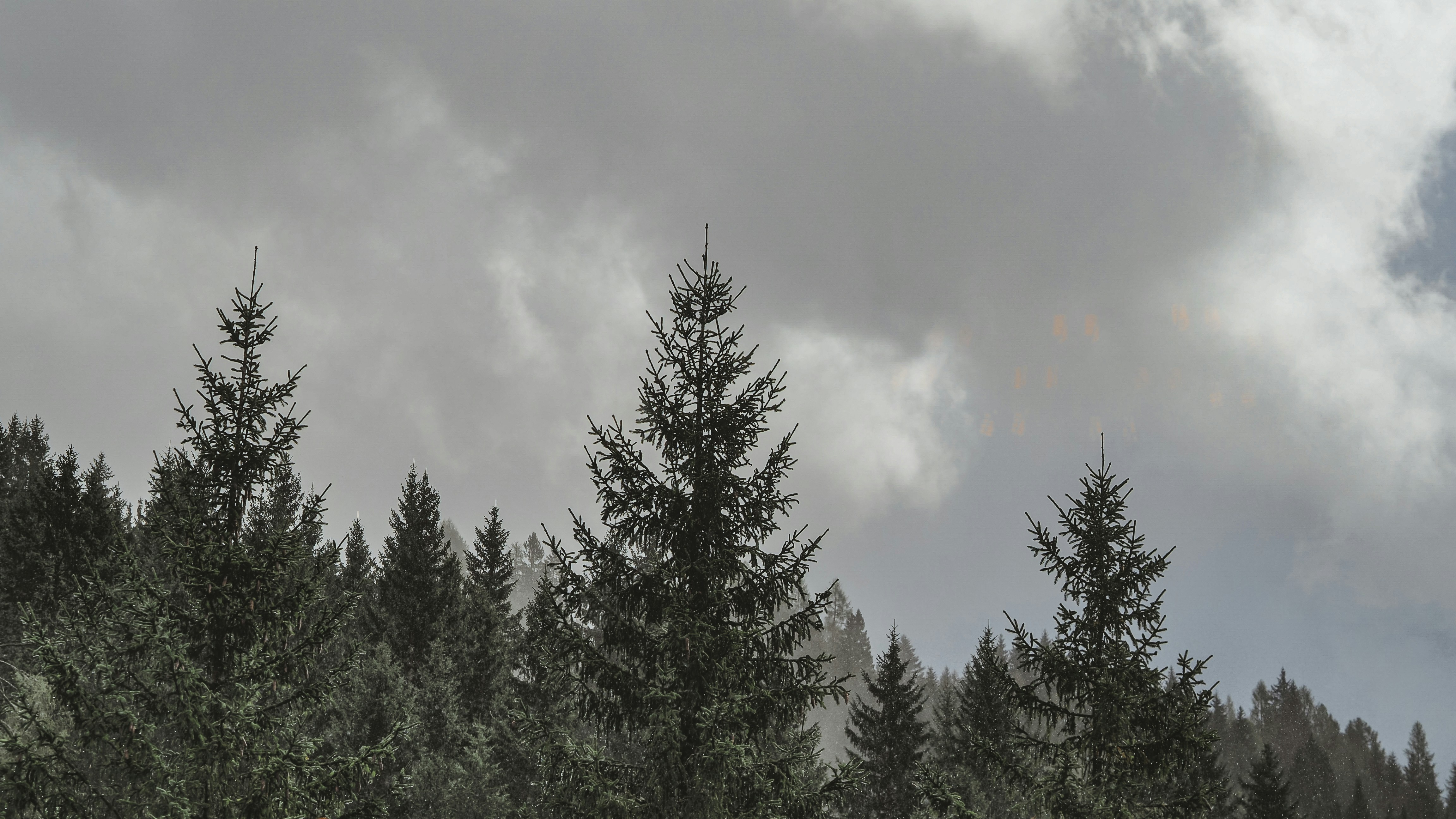 Photo by laurachouette