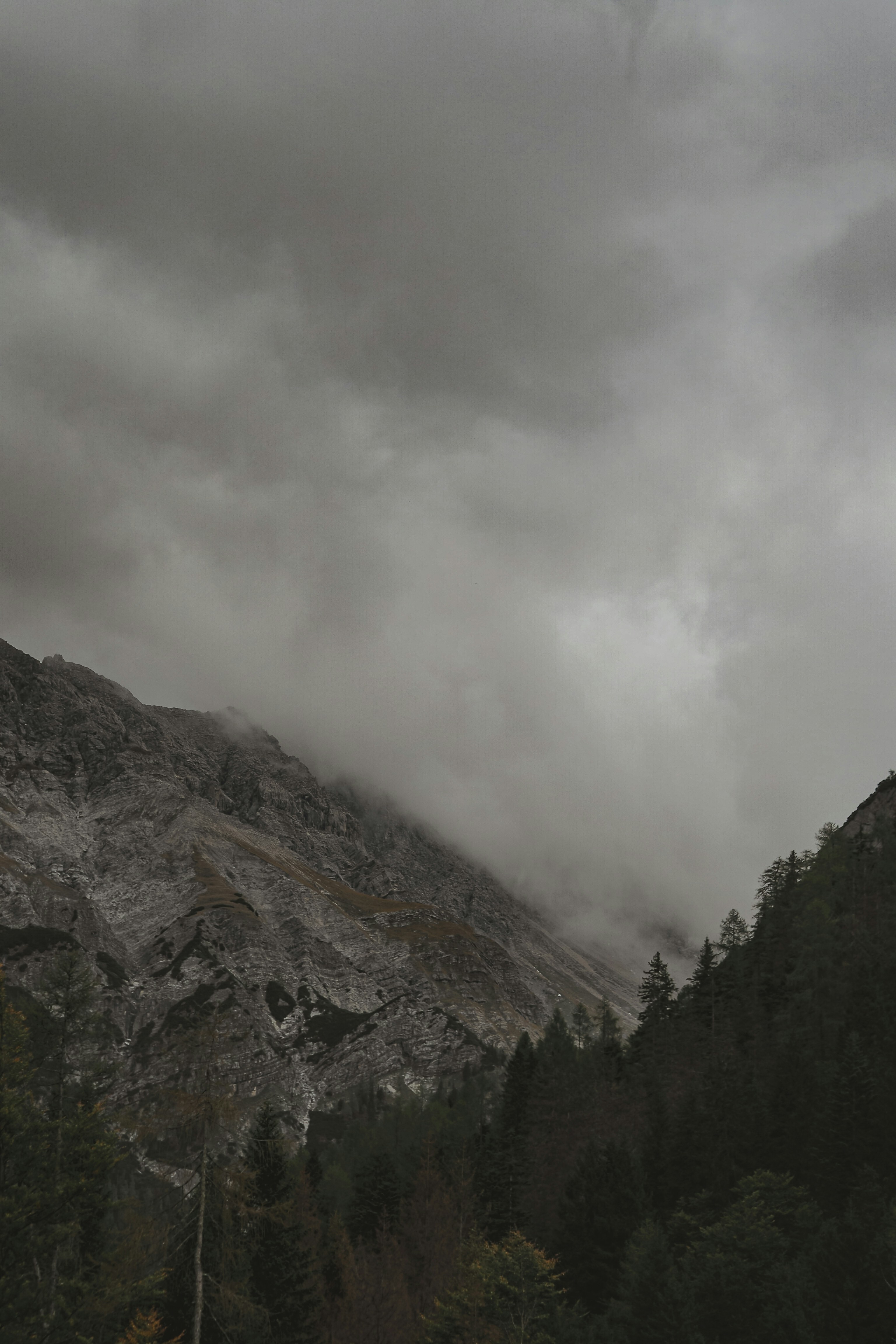 Photo by laurachouette