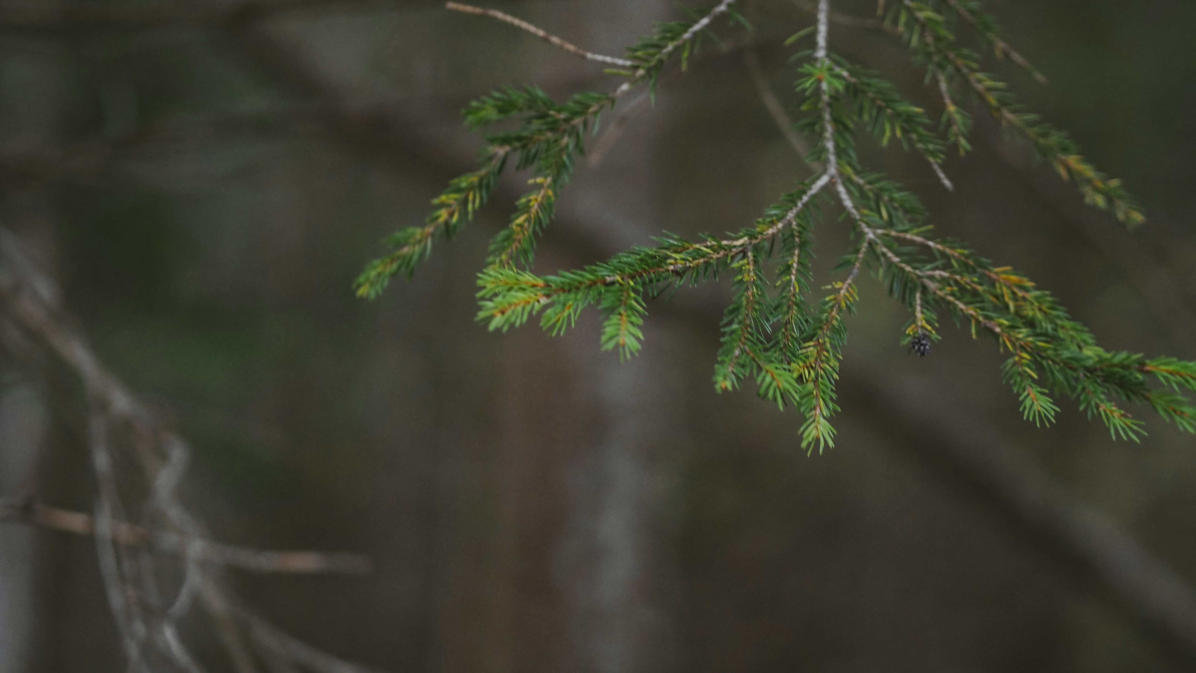 Photo by laurachouette