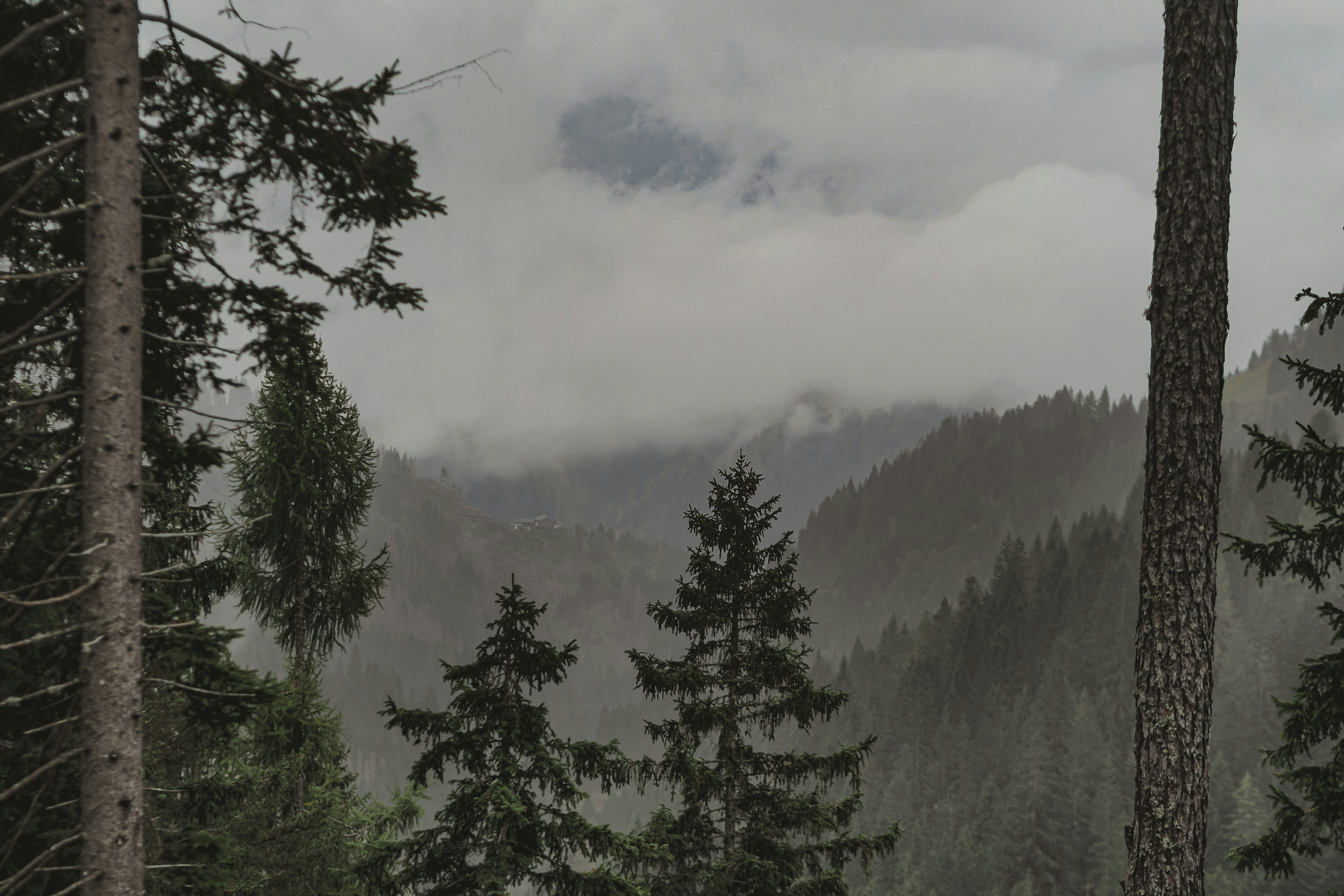 Photo by laurachouette