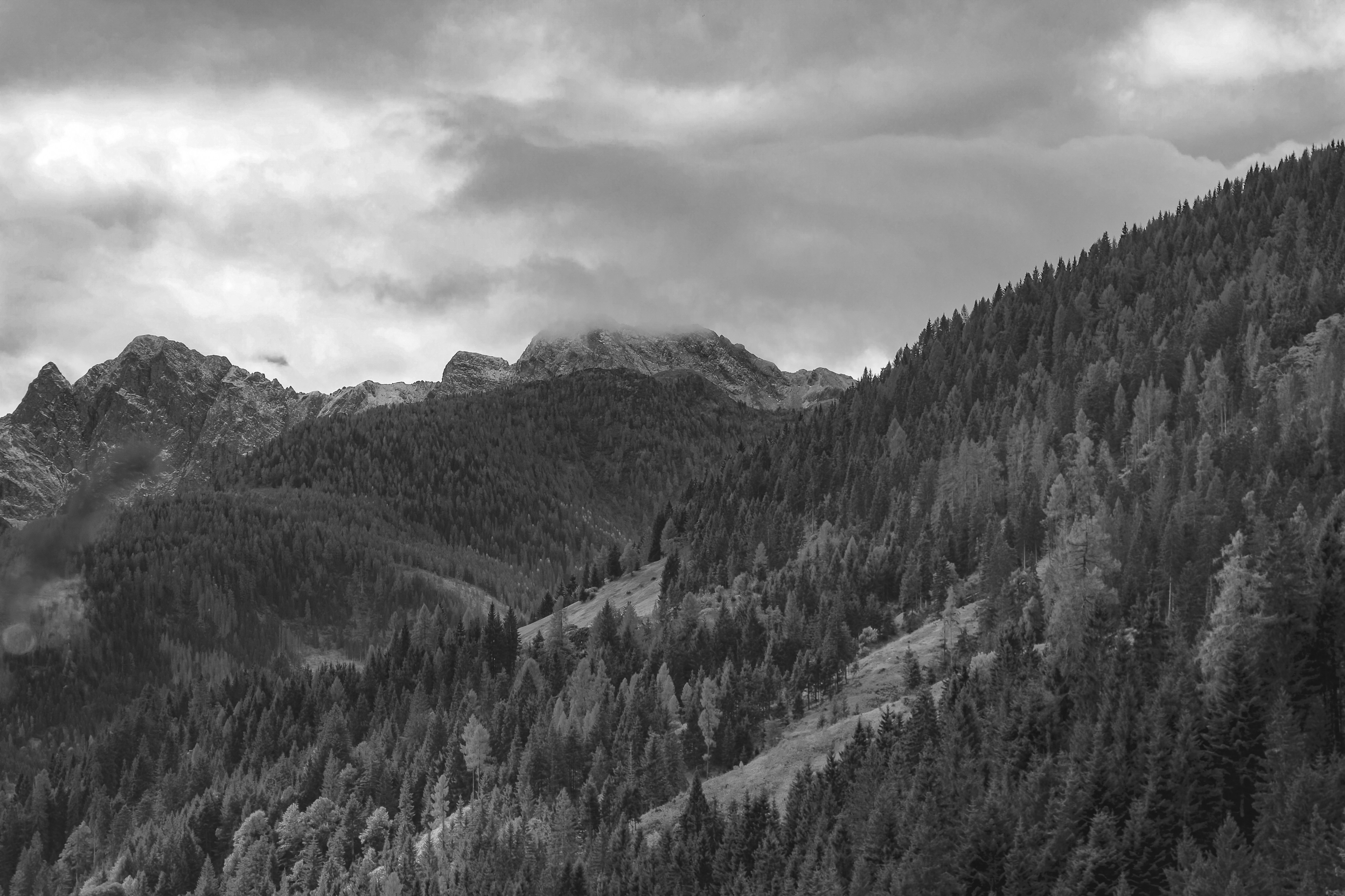 Photo by laurachouette