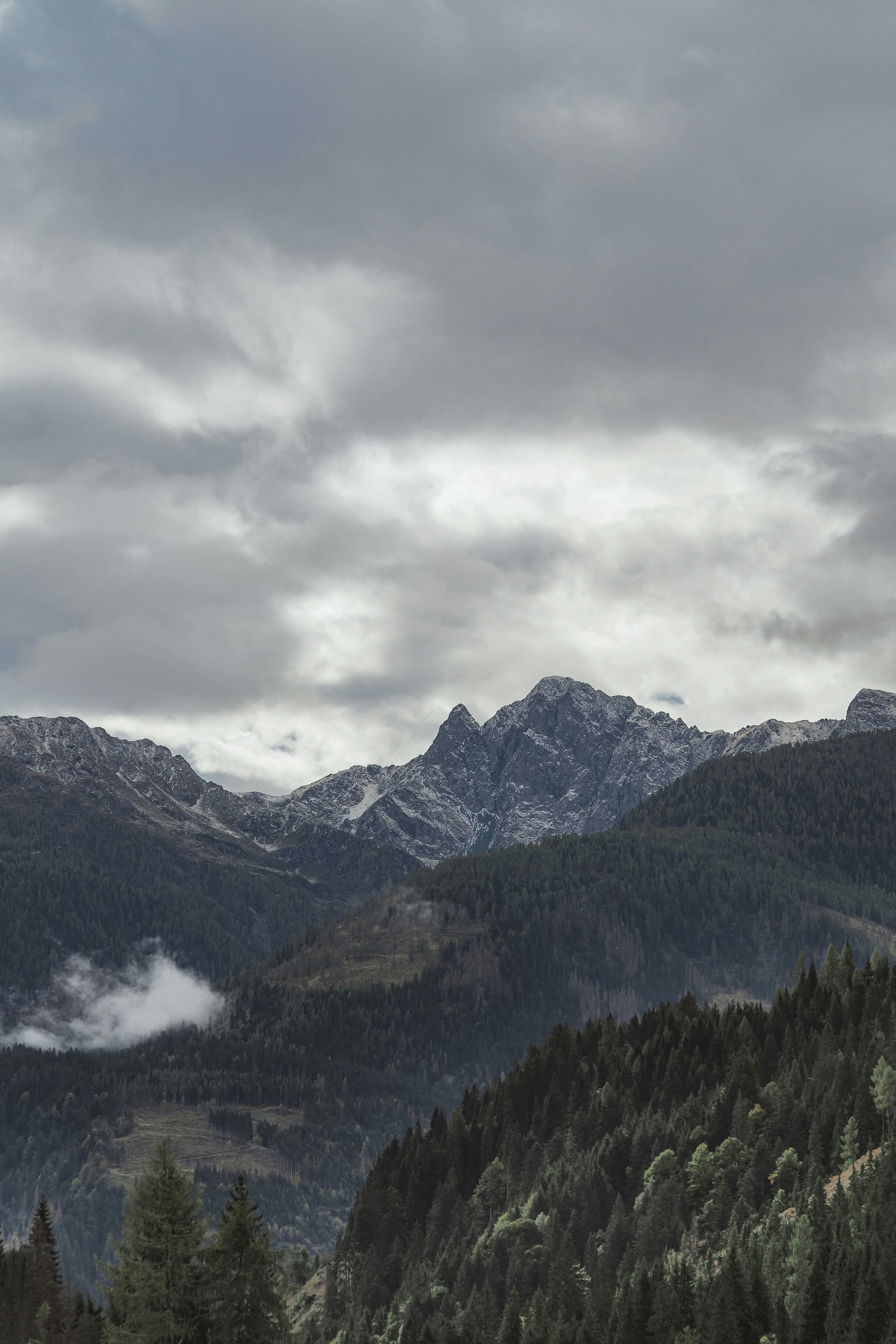 Photo by laurachouette