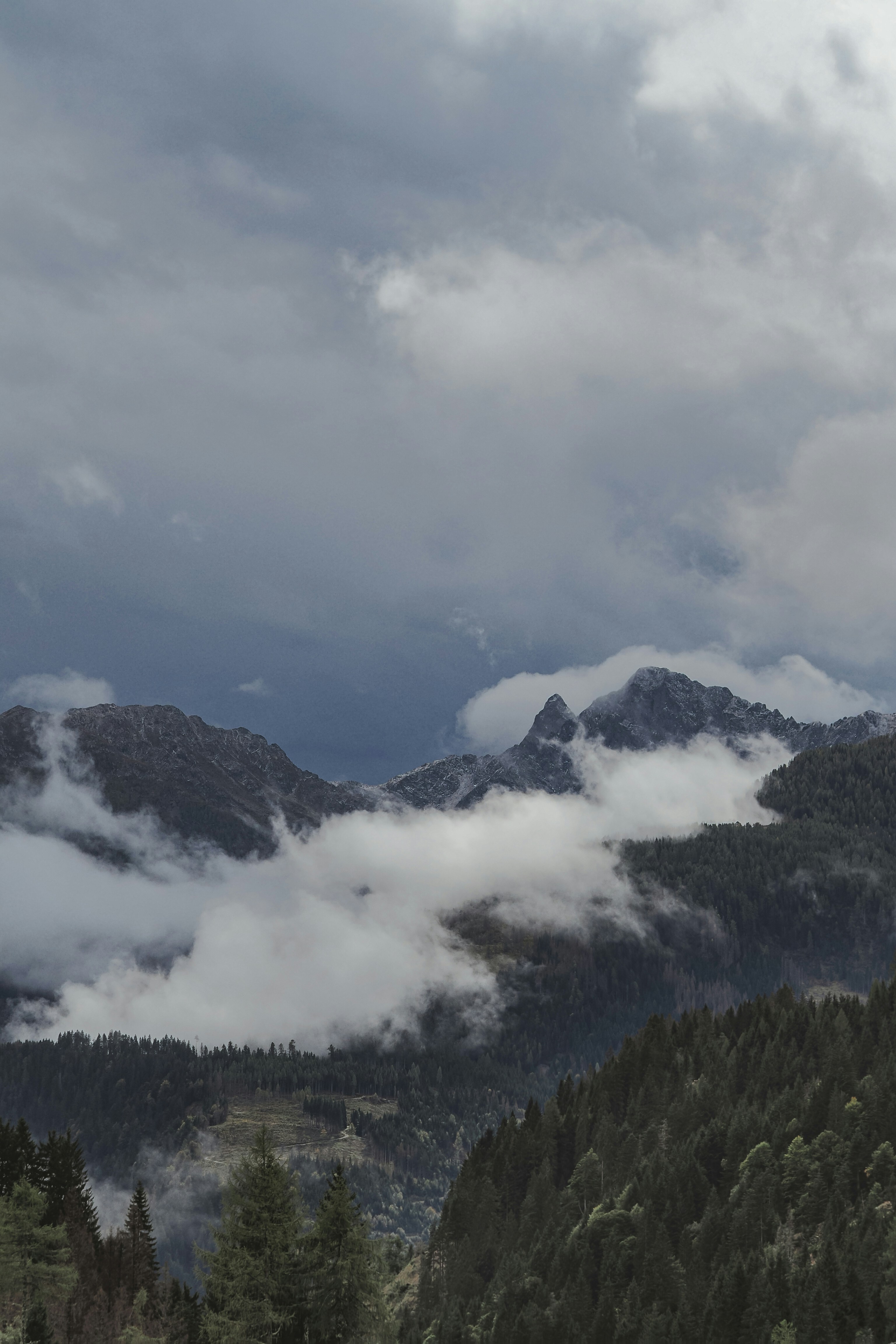 Photo by laurachouette