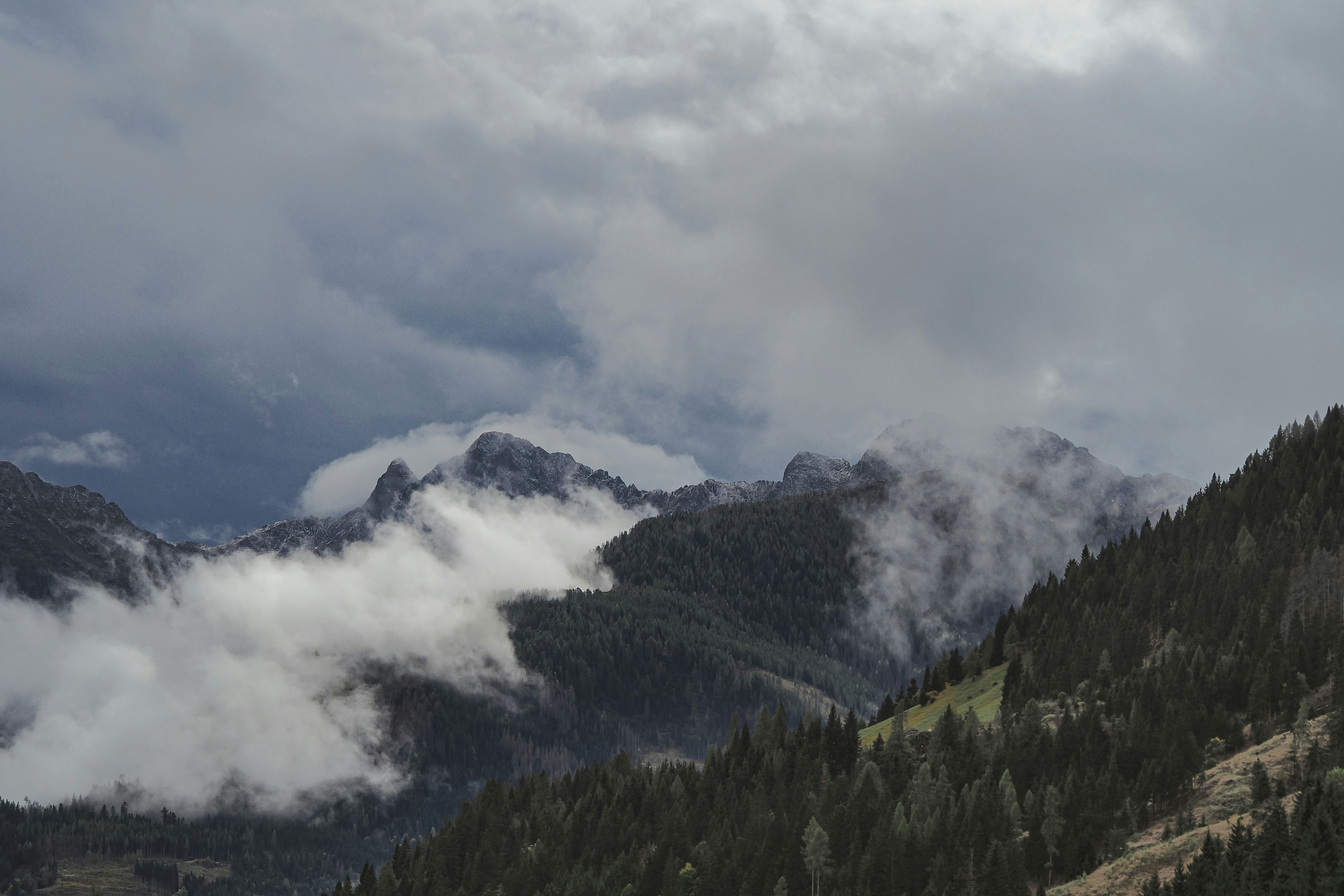 Photo by laurachouette