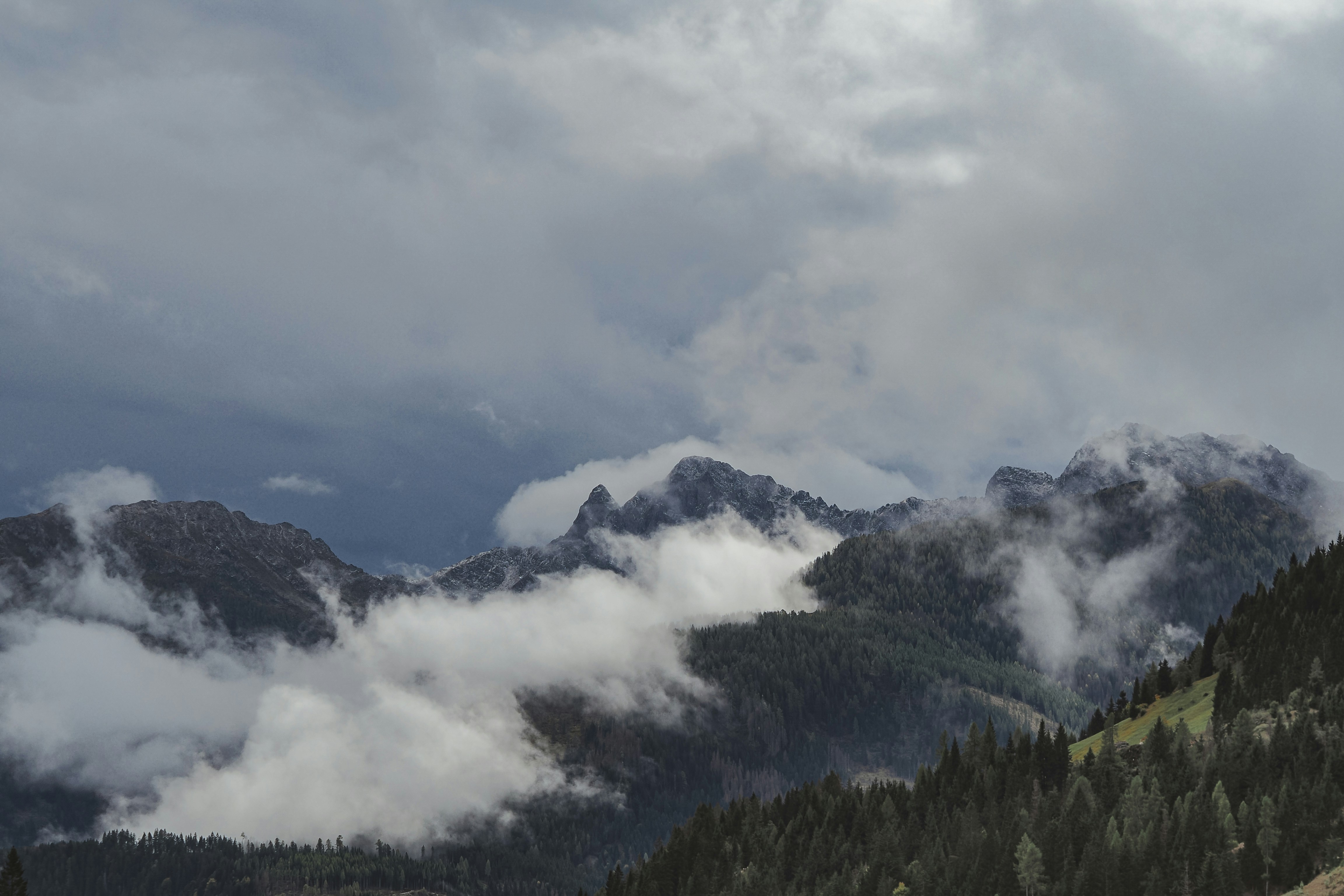 Photo by laurachouette